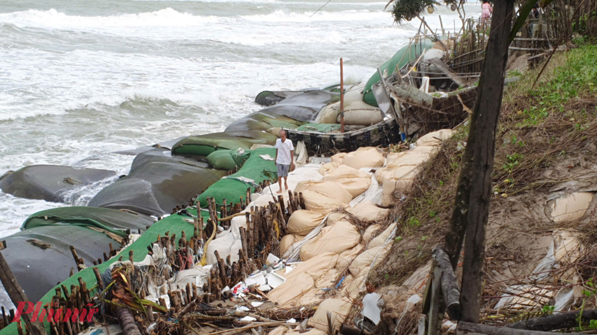 Tuy nhiên, công sức đang như muối đổ biển khi lần lượt các cơn bão, áp thấp nhiệt đới liên tiếp ập vào.