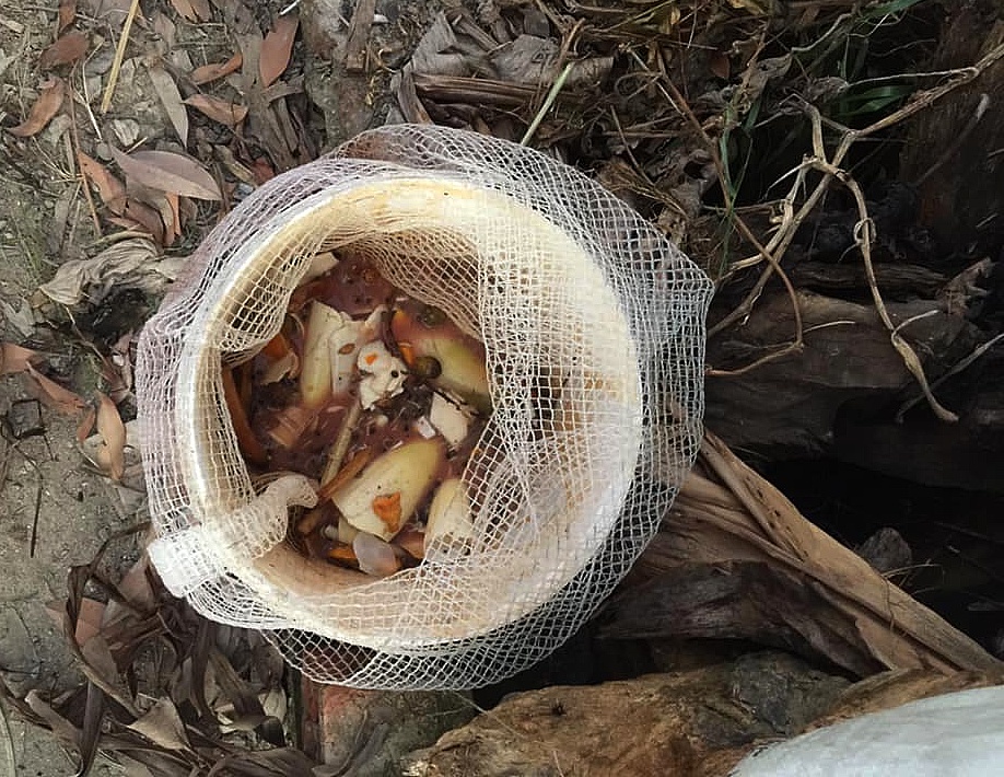 Từ rác thải thành vườn xanh Rác bếp, rác hữu cơ bỏ túi lưới rồi ủ cùng men vi sinh, dung dịch thu được sau khi rác phân hủy trở thành nguồn phân bón an toàn, tiết kiệm