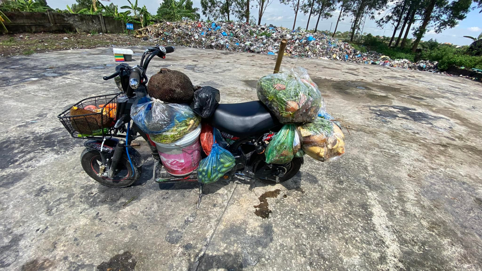 Từ rác thải thành vườn xanh Tôi còn thu gom rác chợ, rau củ quả hư, ế từ các tiểu thương, thậm chí là các bãi rác trong khu vực - nơi một bộ phân dân cư chưa có thói quen phân loại rác - về ủ làm phân bón lót cho cây trồng