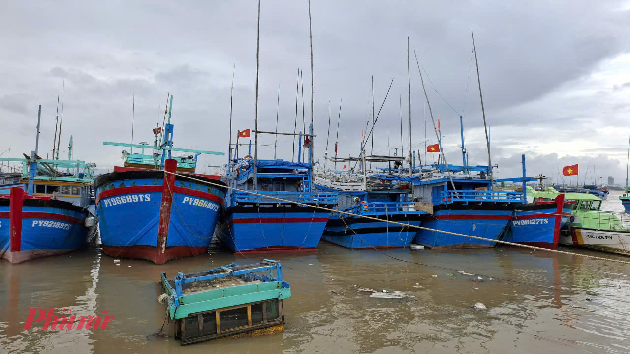 Tàu cá chạy vào khu vực cảng Đông Tác, phường Phú Yên (Đắk Lắk) để tránh trú bão số 13 - Ảnh: Mạnh Trâm Trân