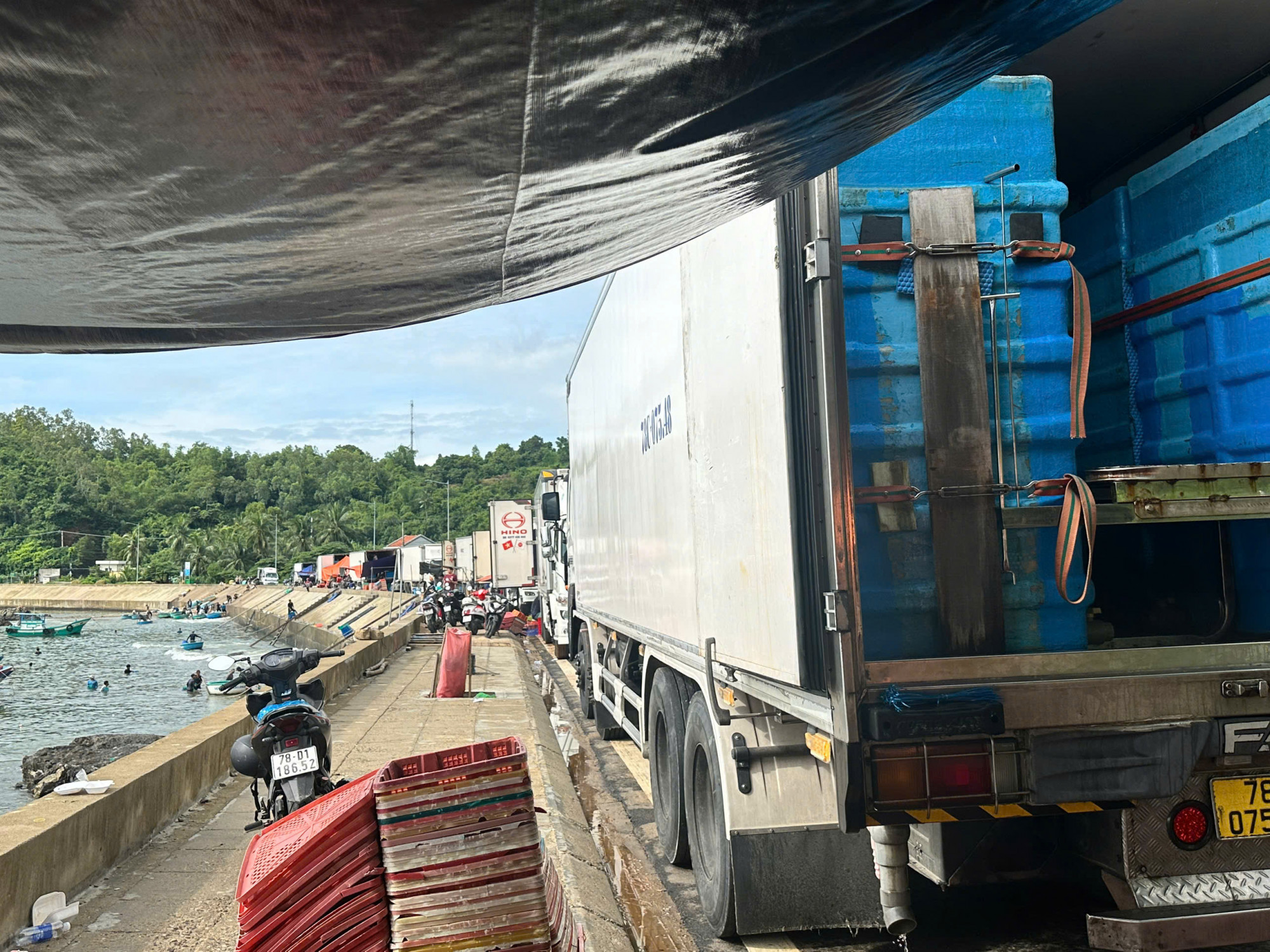 Tại khu vực Lỗ Sâu, khu phố Mỹ Thành, phường Xuân Đài, hàng chục xe đông lạnh nối đuôi nhau chờ thu mua tôm hùm. 