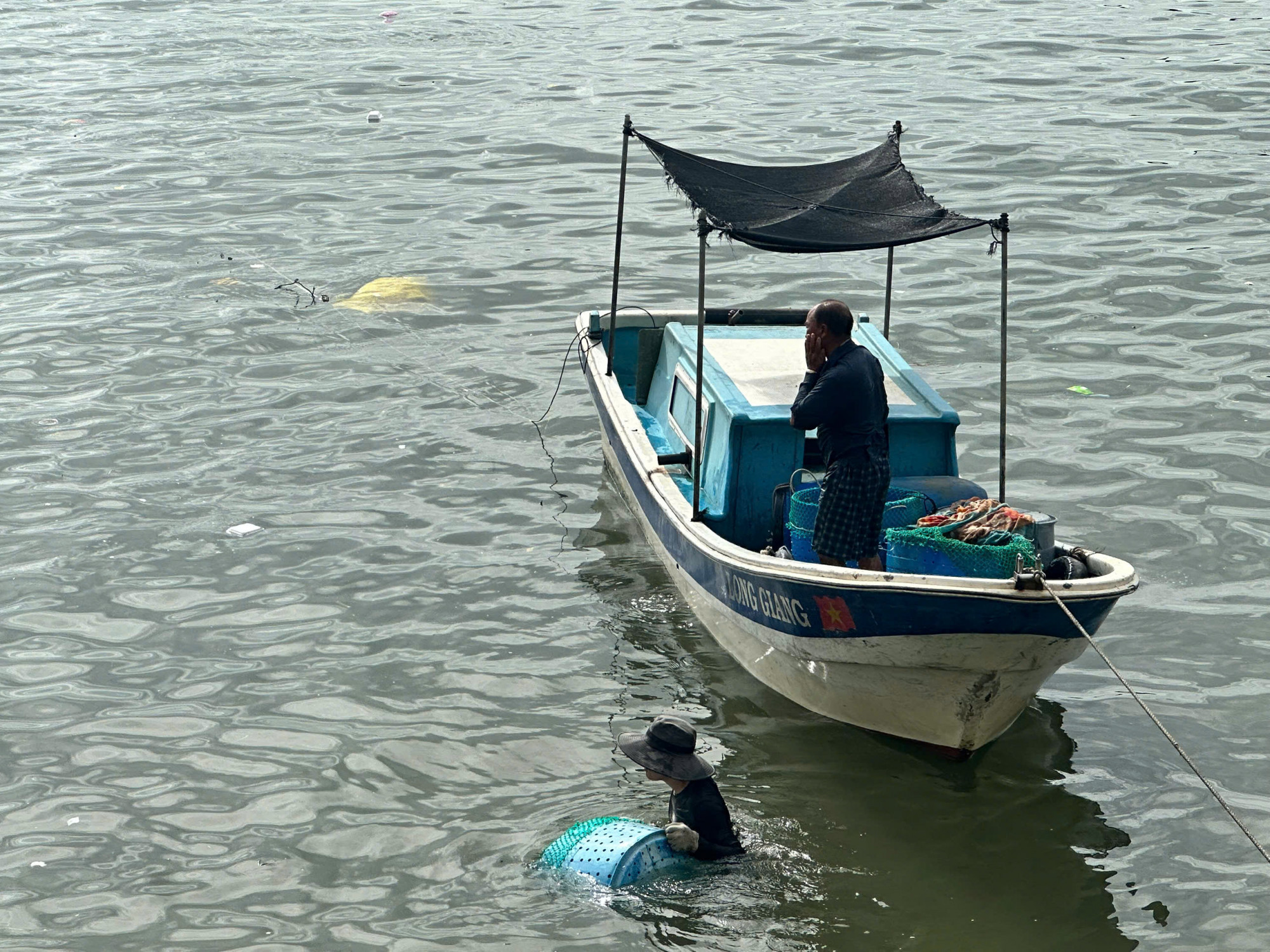 Dù giá giảm, nhiều hộ vẫn quyết định thu hoạch sớm để tránh rủi ro khi bão đến 