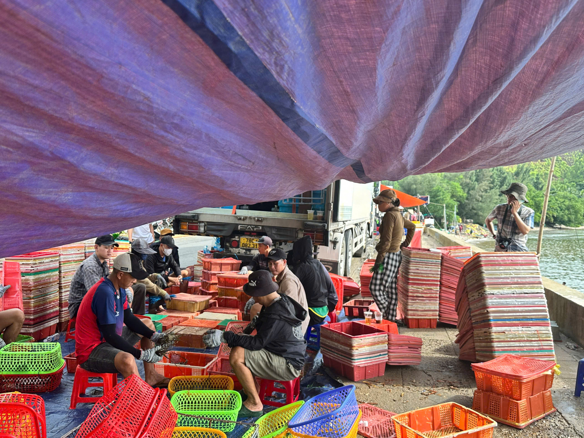 Tại khu vực Lỗ Sâu, khu phố Mỹ Thành, phường Xuân Đài, hàng chục xe đông lạnh nối đuôi nhau chờ thu mua tôm hùm. Lượng tôm thu mua tăng gấp đôi ngày thường, có thương lái gom đến cả chục tấn mỗi ngày để vận chuyển đi tiêu thụ.