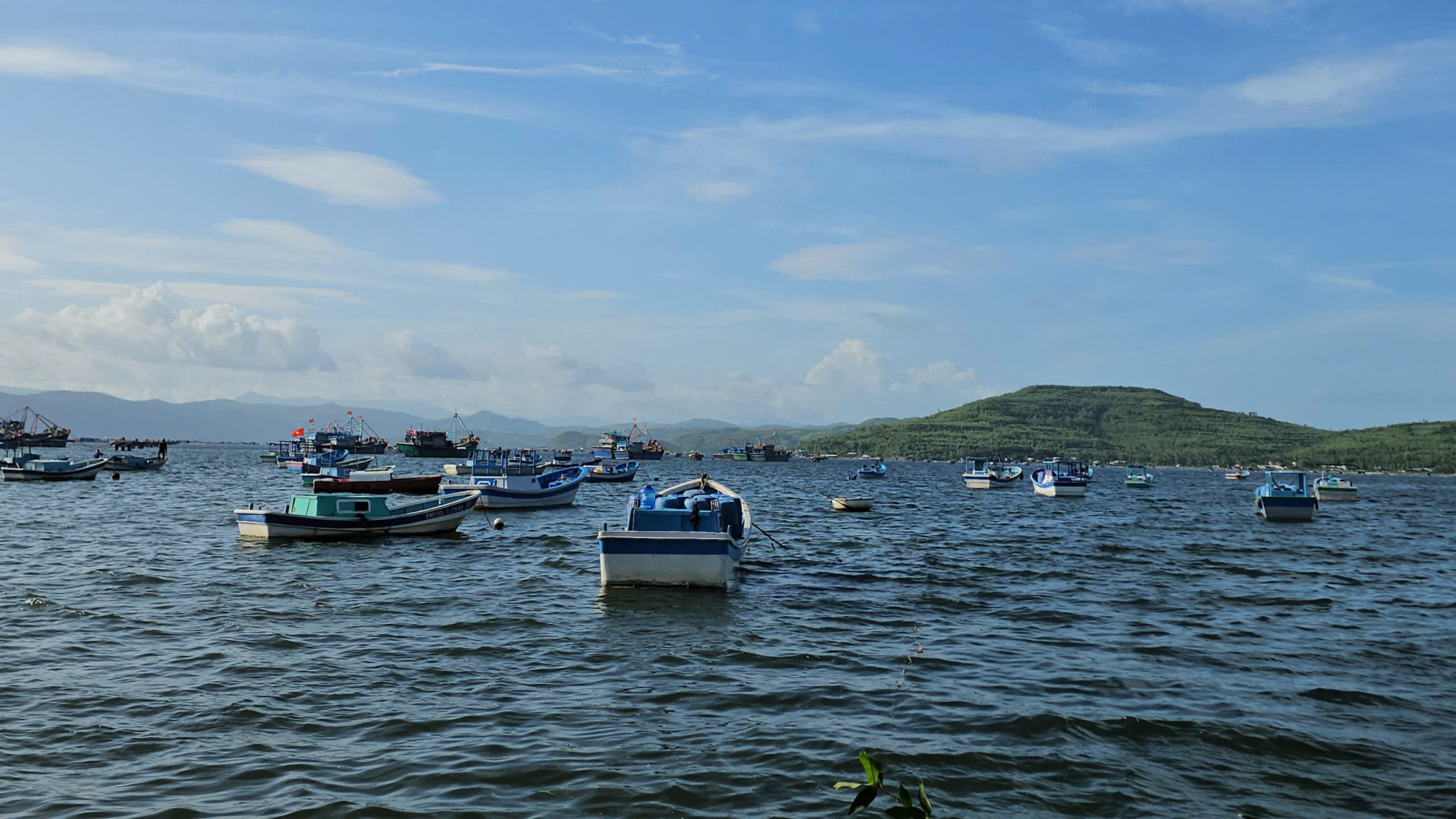 Hầu hết tàu thuyền đã neo đậu vào bờ để đảm bảo an toàn - Ảnh: M.N.