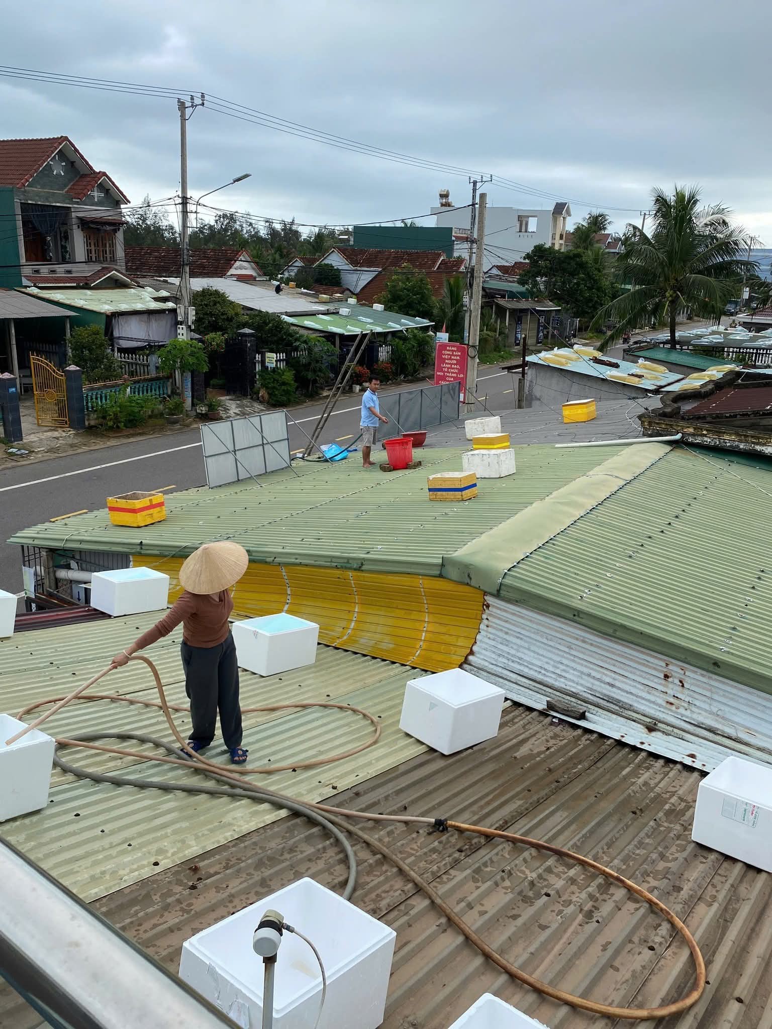 Người dân ở các phường trung tâm tỉnh Gia Lai xếp hàng mua sắm các vật tư để chẳng chống nhà cửa_Ảnh: X.Đ.