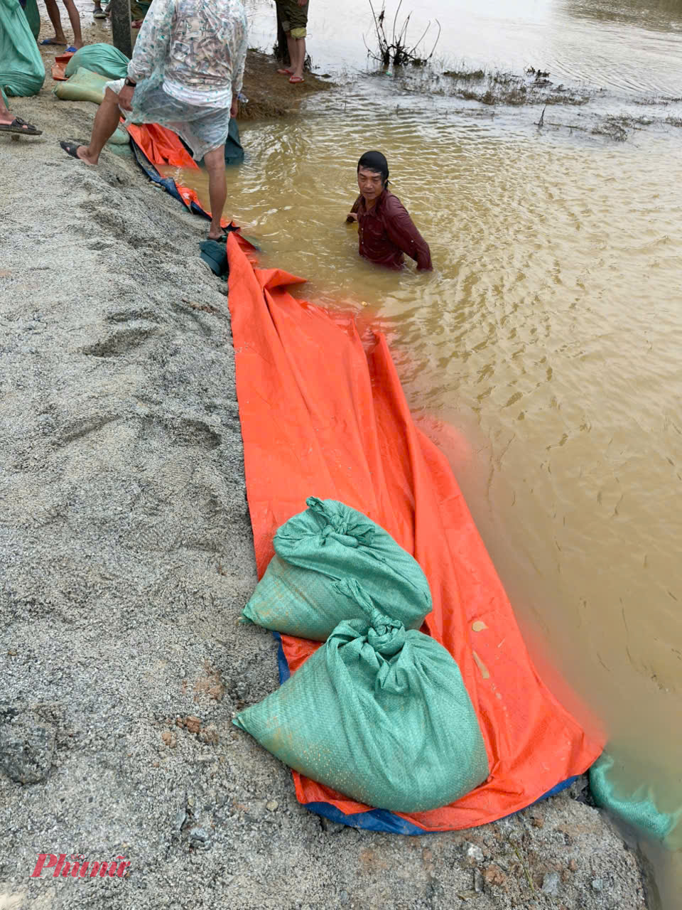 Người dân xã Quảng Điền lội nước lũ  tham gia vá đê