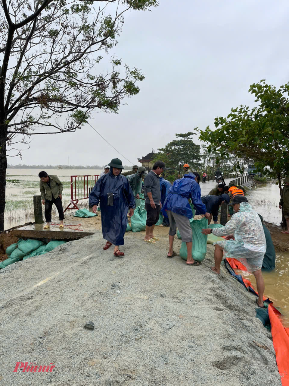 Tuyến đê này là tuyến giao thông quan trọng của bà con xã Quảng Điền