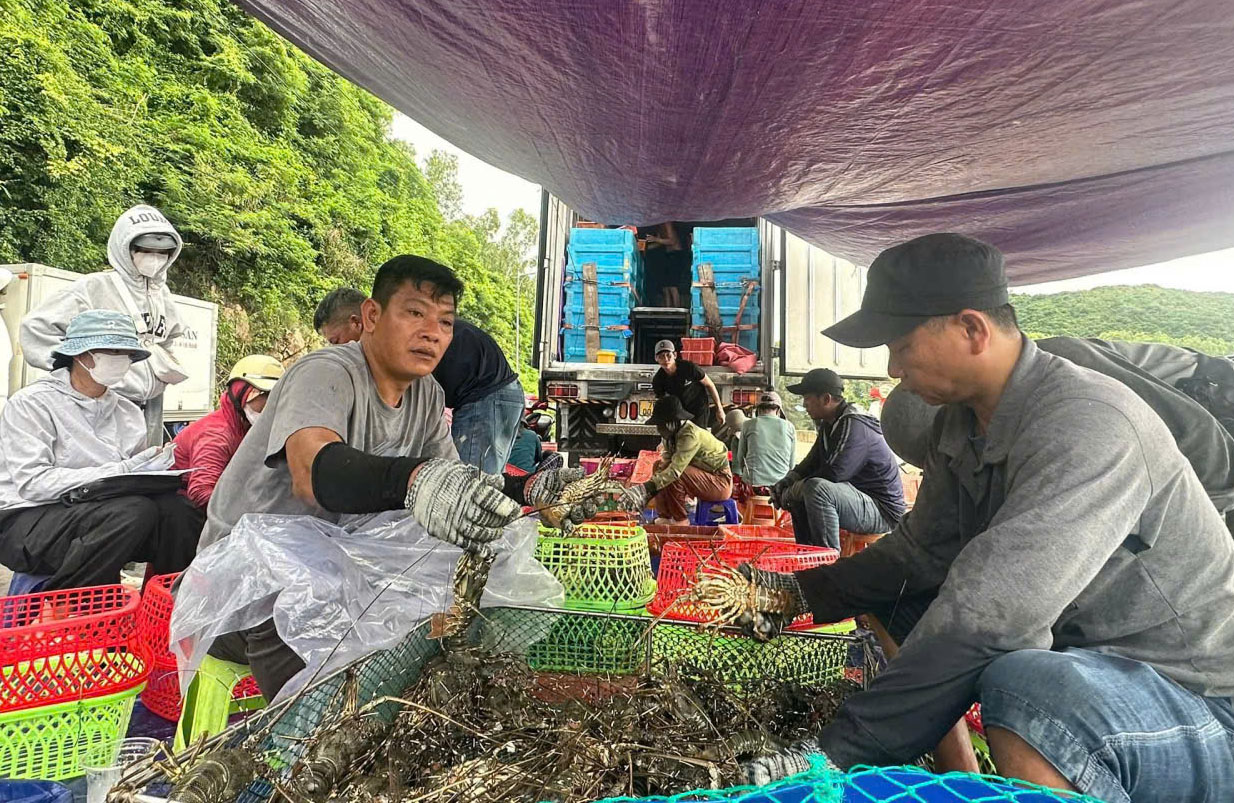 Tối qua có người thức đêm bán vì số tiền đầu tư hàng tỉ đồng, để lại, gặp bão làm ngộp, chết thì trắng tay. 