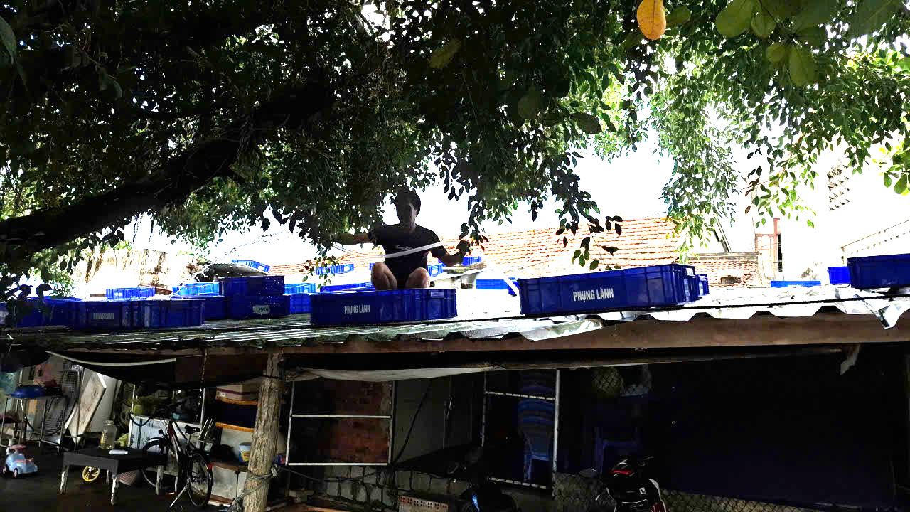 Bao ni lôn khan hiếm người dân lấy thùng nhựa đổ nước đè mái nhà - Ảnh: Trâm Trân