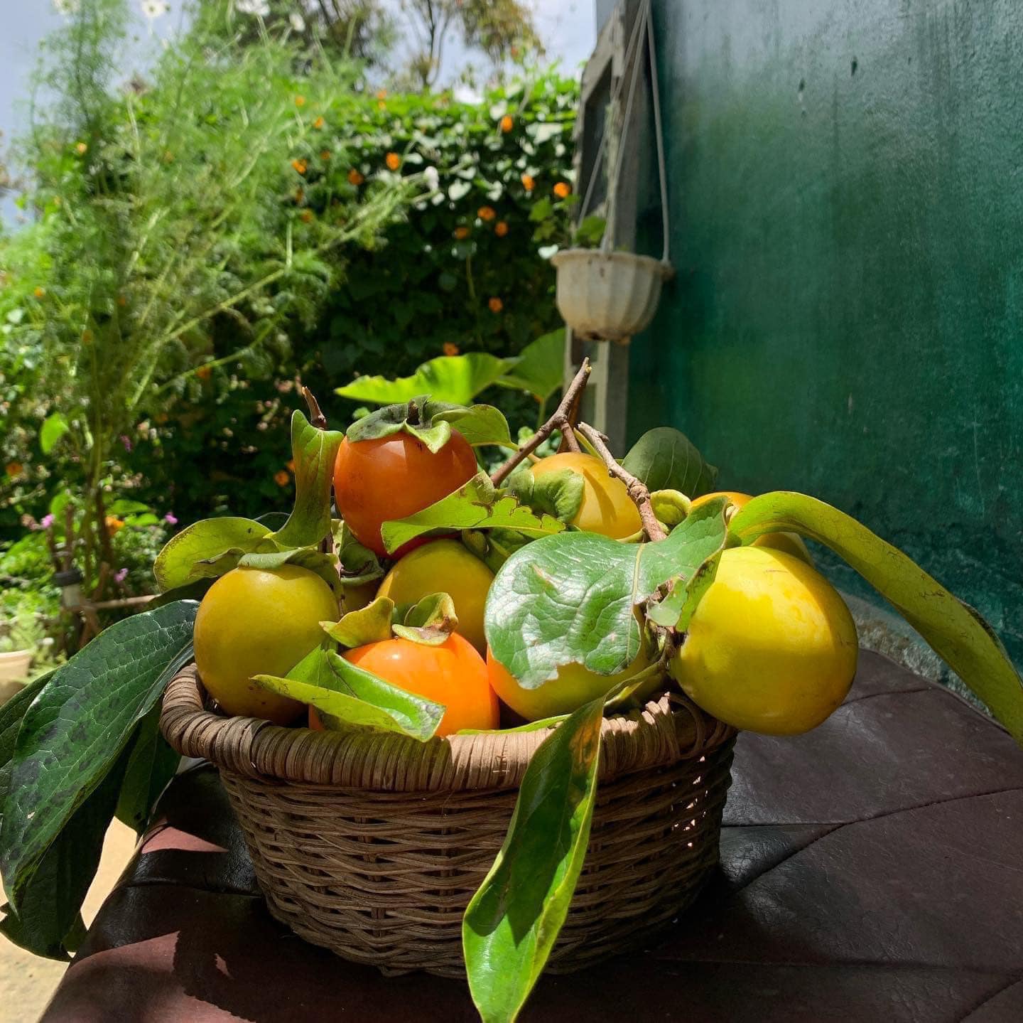 Ảnh: Phượng Hoàng