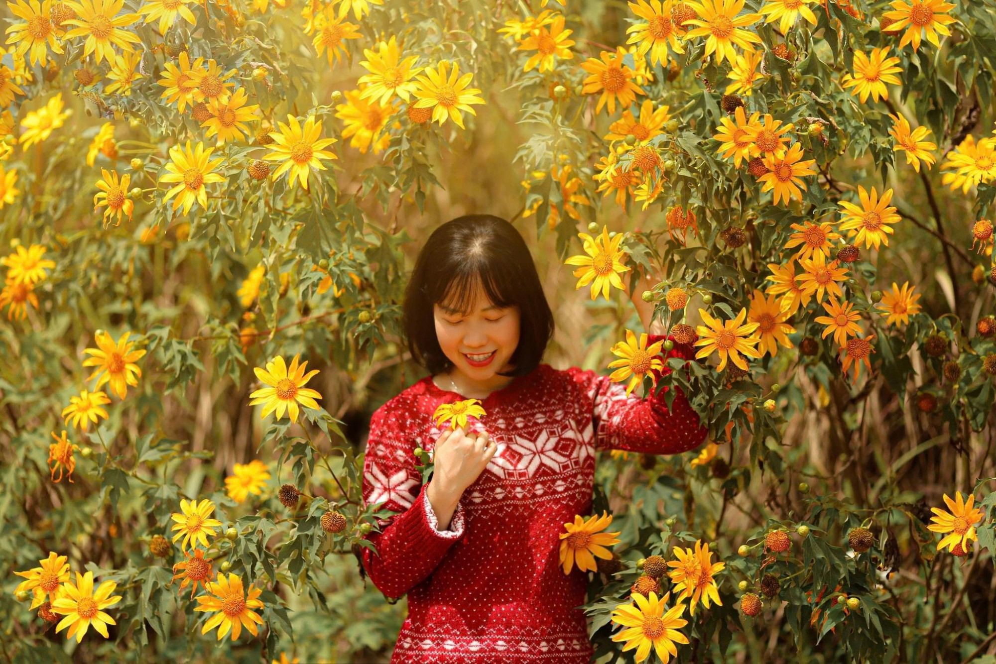 Mẹo để chụp ảnh đẹp cùng hoa dã quỳ là nên chụp từ 7-8g sáng và từ 16-17g. Vào 2 khoảng thời gian này, nắng không quá gay gắt nên bạn sẽ không bị chói hay bị nắng nóng - Ảnh: Phượng Hoàng/Dalat Đi và trải nghiệm