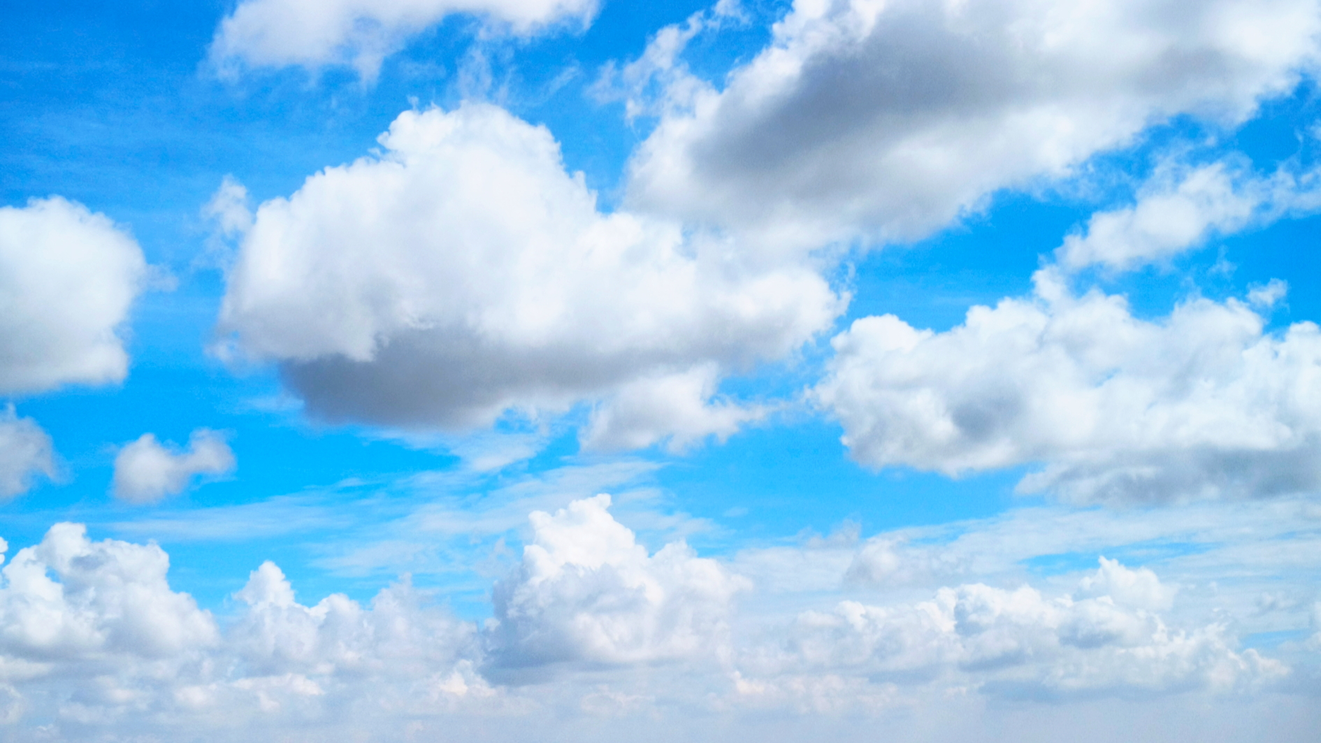 Ảnh mang tính minh họa - Shutterstock