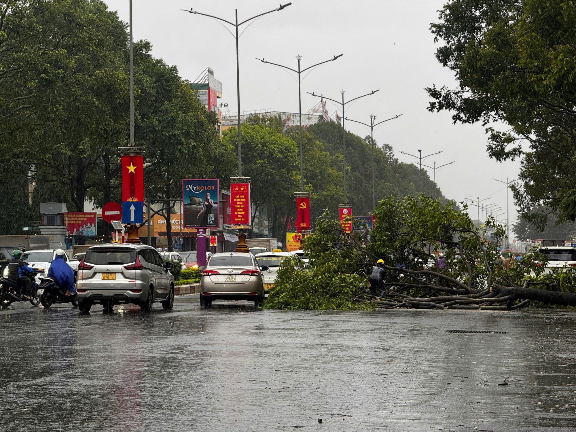 Một số cây xanh tại Buôn Ma Thuột ngã đổ ngang đường - Ảnh: B.X.