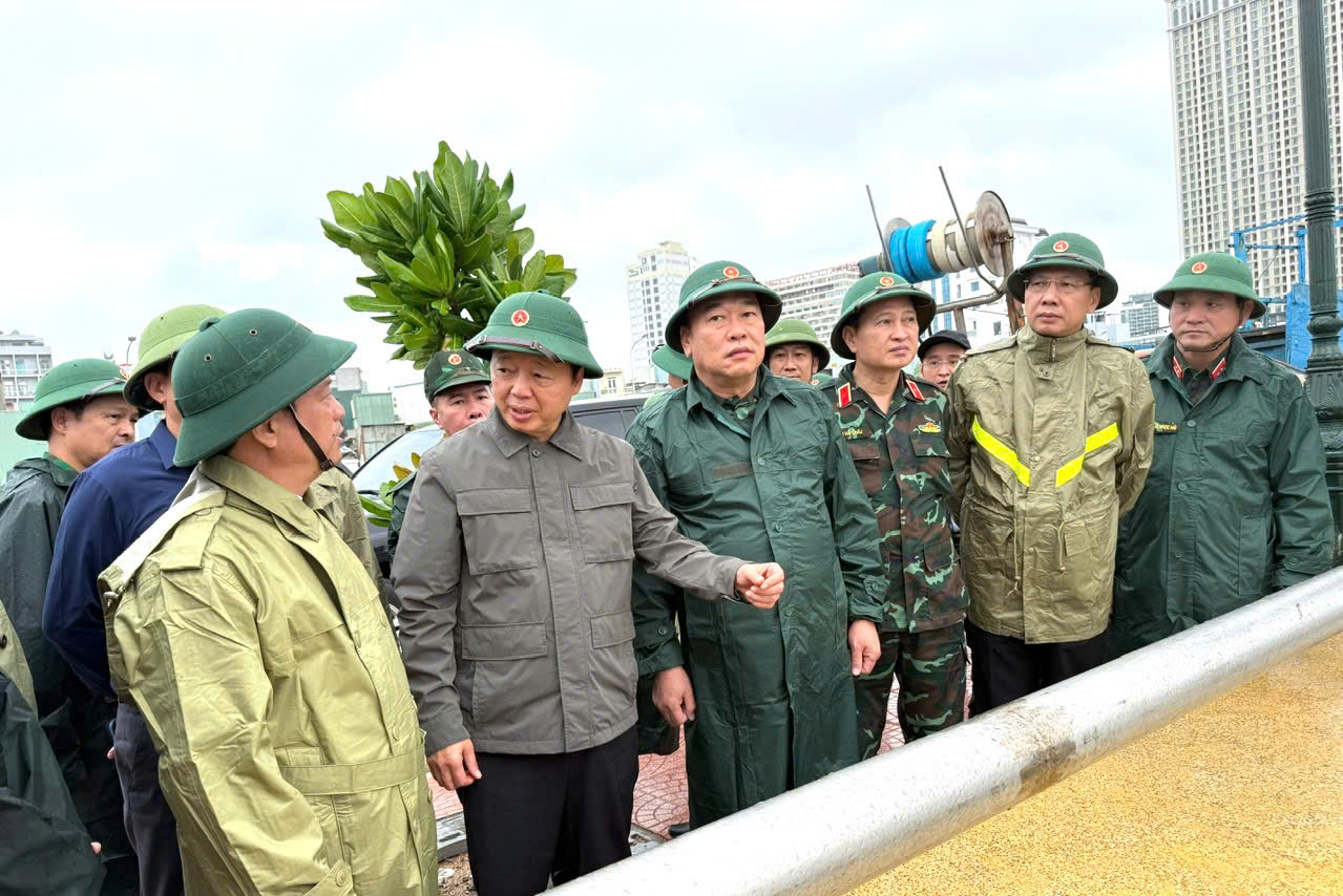 Sáng nay, Phó Thủ tướng Trần Hồng Hà cùng lãnh đạo tỉnh Gia Lai trực tiếp đi kiểm tra khu neo đậu tàu thuyền tránh trú bão tại phường Quy Nhơn.