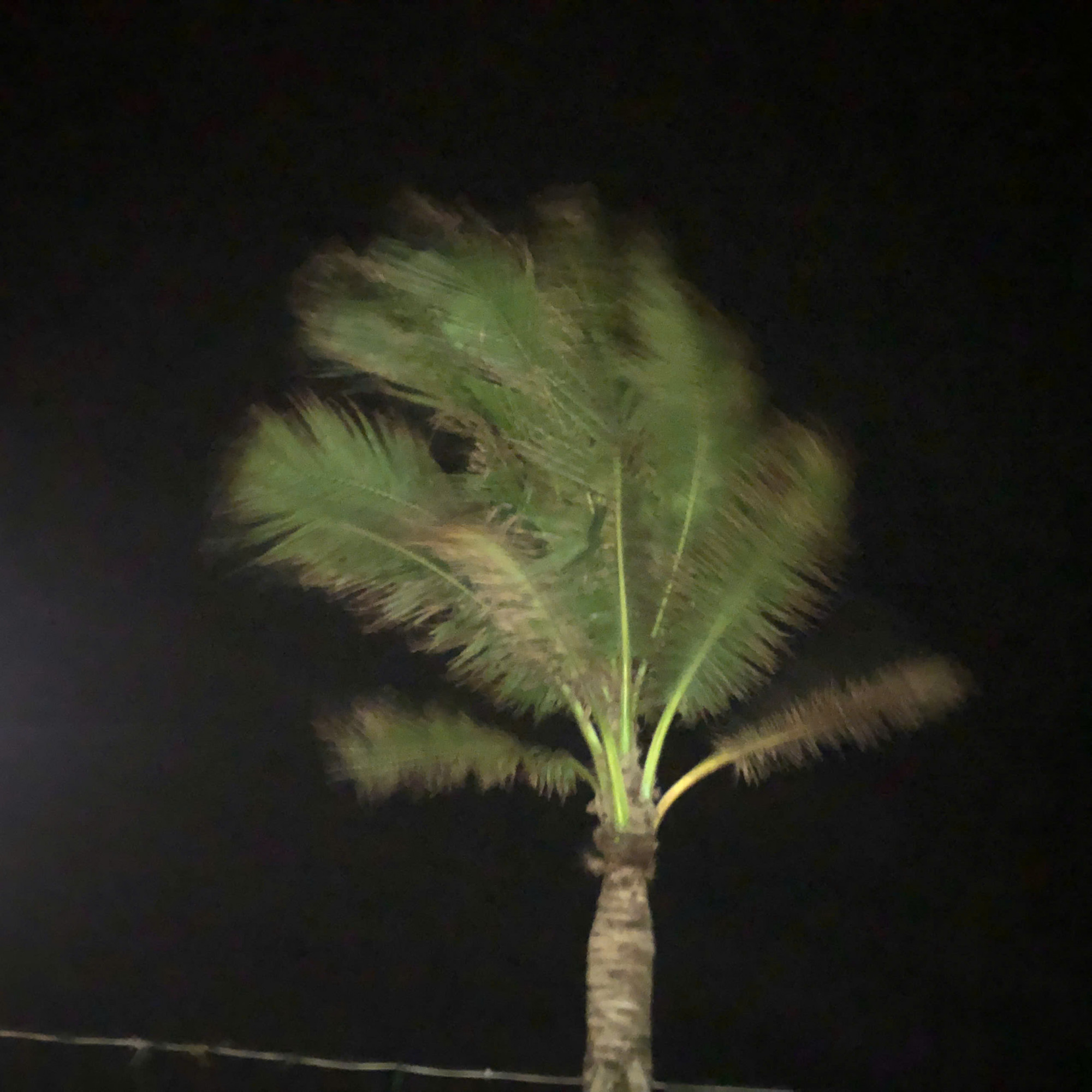 Gió ở Lý Sơn bắt đầu dữ dội