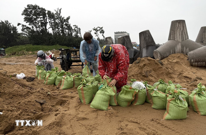 Thủ tướng chỉ đạo khẩn ứng phó với bão số 13 và mưa lũ sau bão Người dân phường Tuy Hòa khẩn trương làm bao cát chèn chống nhà cửa. (Ảnh: Tường Quân/TTXVN)