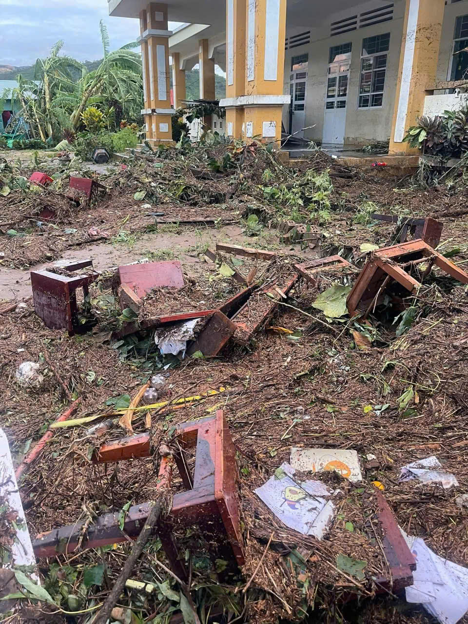 Nhà cửa hoang tàn, cây cối gãy đổ sau trận bão