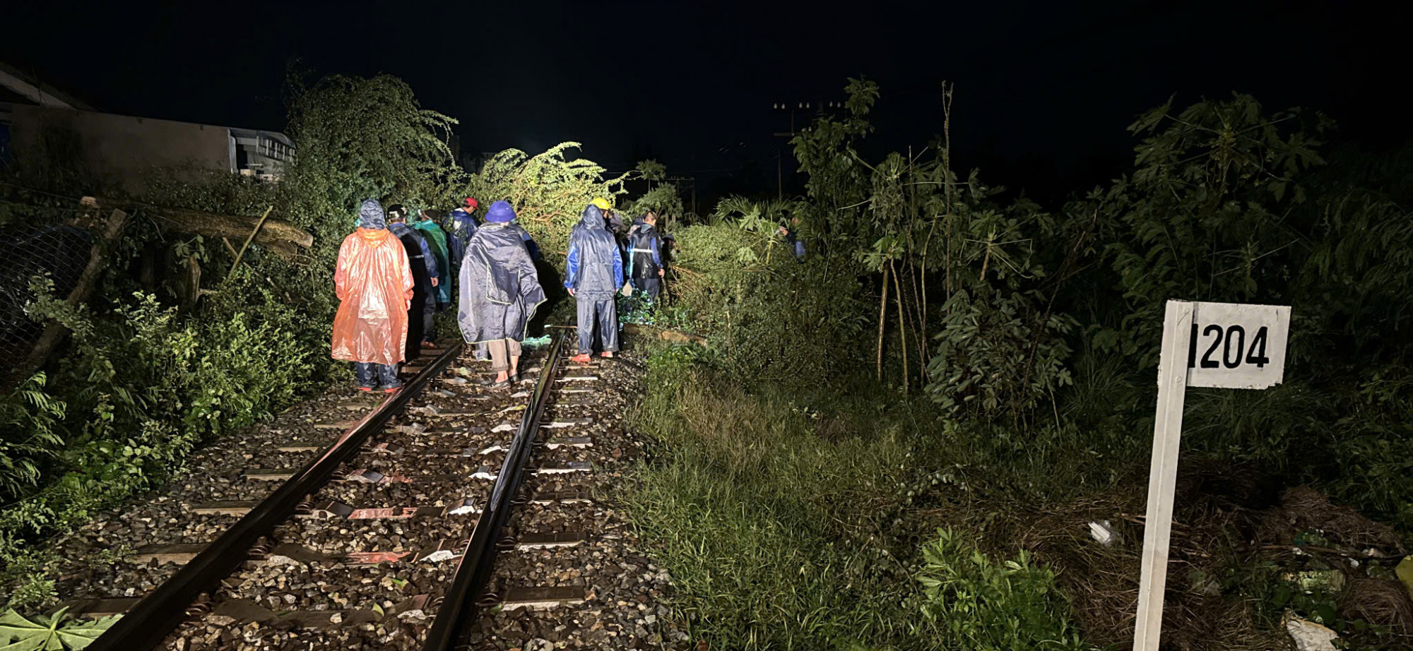 Cây đổ chắn ngang đường sắt Bắc - Nam vào đêm hôm qua (6/11) - Ảnh: 