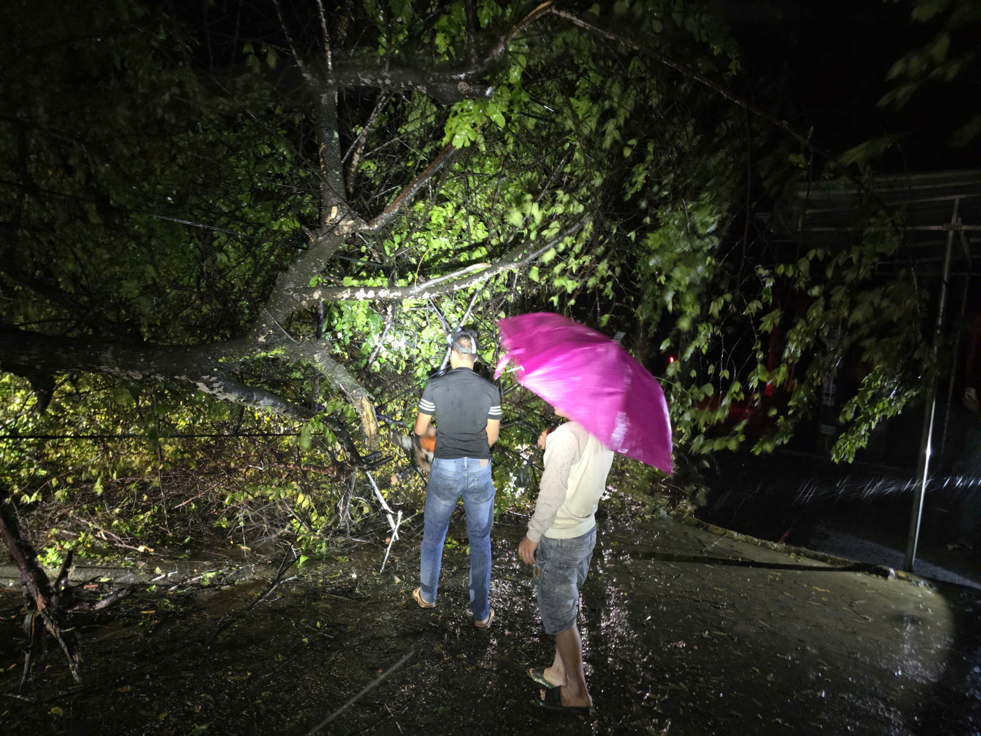  tại km88 + 700 Quốc lộ 26 (đoạn tuyến đi qua xã Ea Knốp) do mưa bão cây đổ ngang trên đường. Đề nghị mọi người đi qua khu vực nói trên chú ý, tuân thủ theo hướng dẫn của lực lượng chức năng, đảm bảo an toàn.