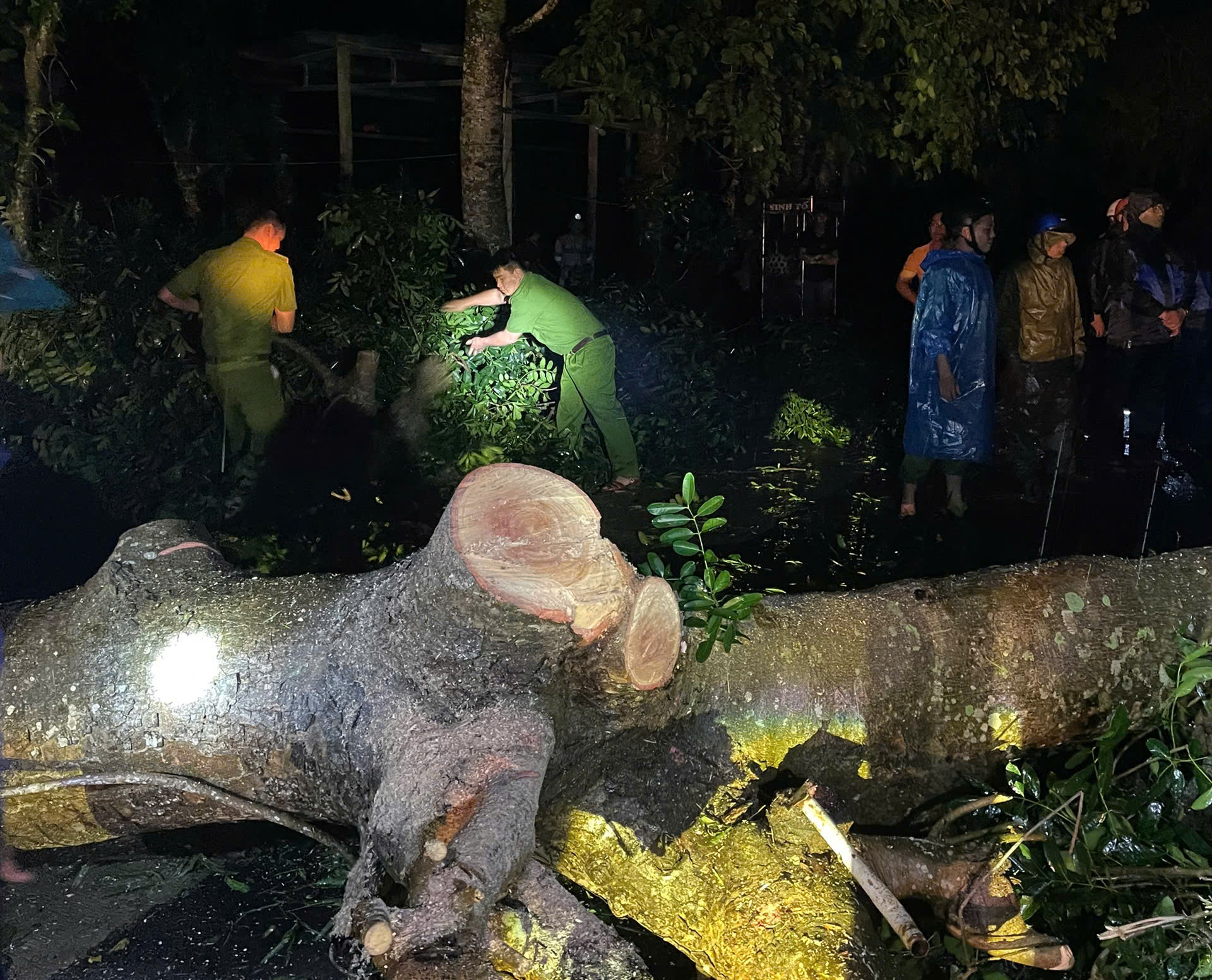  Nhờ sự vào cuộc kịp thời của lực lượng công an và các lực lượng chức năng, nhiều tuyến đường đã được khơi thông ngay trong đêm