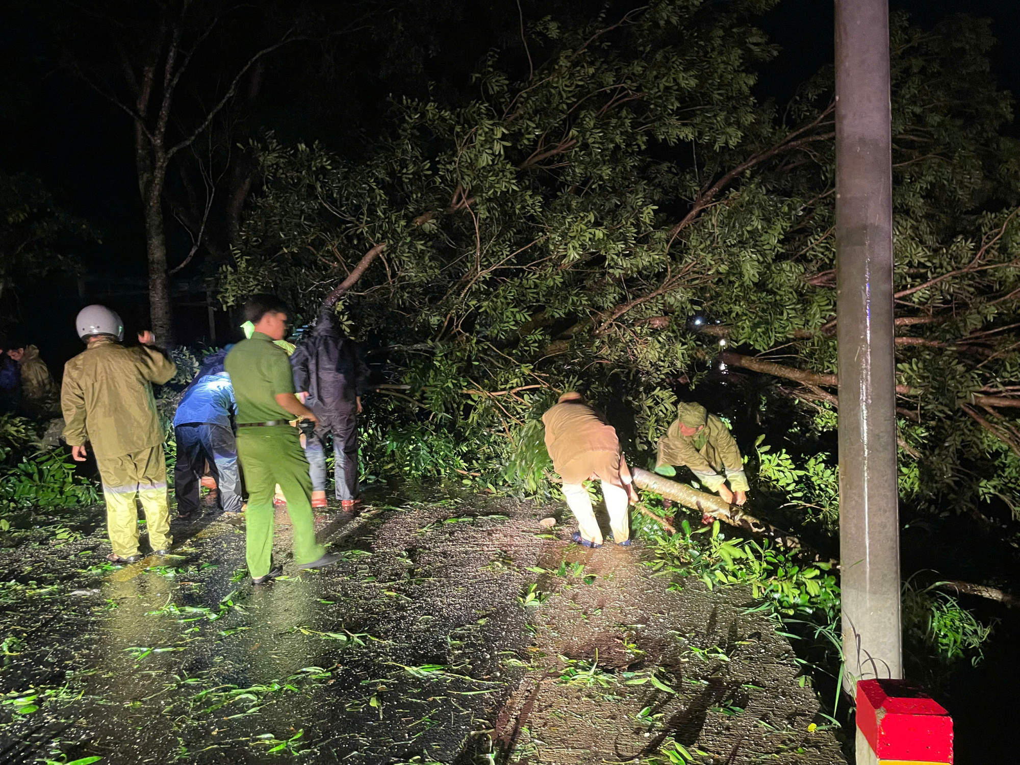 Giữa đêm mưa gió,  Công an nhanh chóng có mặt, thu dọn cây xanh ngã đổ, khơi thông đường phố và bảo đảm an toàn cho người dân.