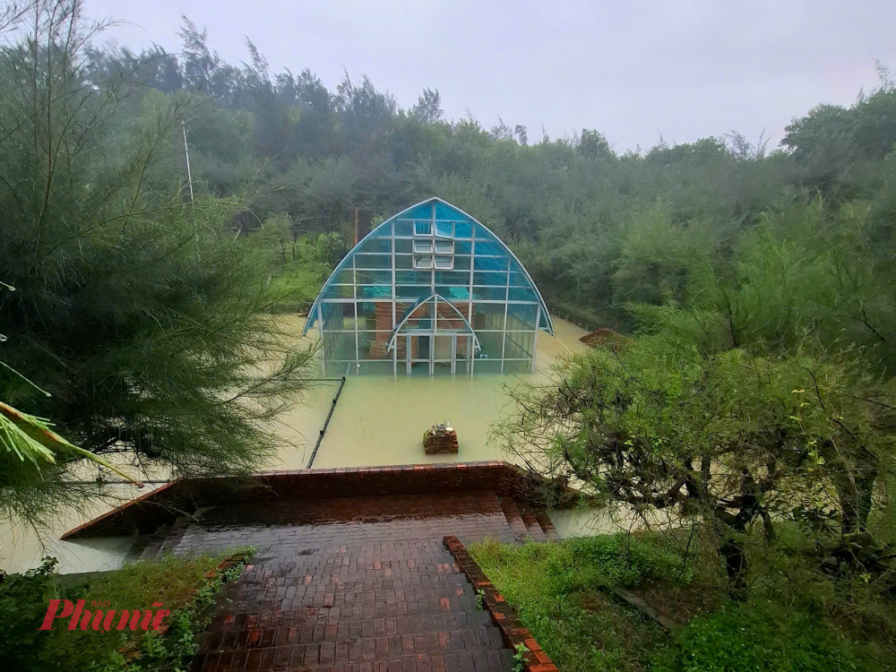 Tại thời điểm kiểm tra, chứng kiến việc di tích Tháp Chăm Phú Diên bị ngâm sâu trong nước, Phó Chủ tịch UBND thành phố Hoàng Hải Minh đã phê bình đơn vị quản lý và chính quyền địa phương trong việc chậm báo cáo, chậm triển khai phương án xử lý, để di tích bị ngập nước kéo dài nhiều ngày.