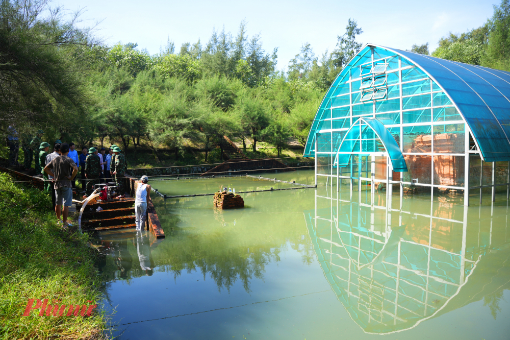 Kiểm tra về trình trạng ngập nước tại tháp Chăm nổi tiếng này Phó Chủ tịch UBND thành phố Hoàng Hải Minh đã chỉ đạo, huy động thêm máy bơm để hút nước, đồng thời chỉ đạo đơn vị liên quan và chính quyền địa phương phải túc trực, giám sát thường xuyên, đảm bảo trong ngày hôm nay phải hút hết nước và báo cáo kết quả về UBND thành phố.