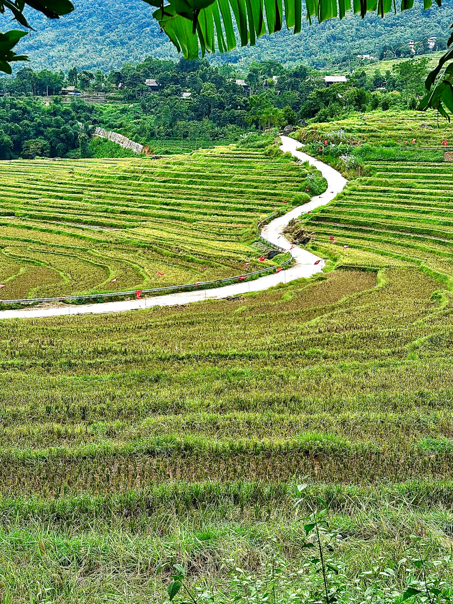 Dù bạn tìm kiếm kỳ nghỉ cuối tuần yên tĩnh hay chuyến khám phá giàu trải nghiệm, Pù Luông đều khiến người ta cảm thấy được sạc lại năng lượng. Chỉ một hơi thở thật sâu cũng đủ để cảm nhận sự trong trẻo của núi rừng len vào từng tế bào.