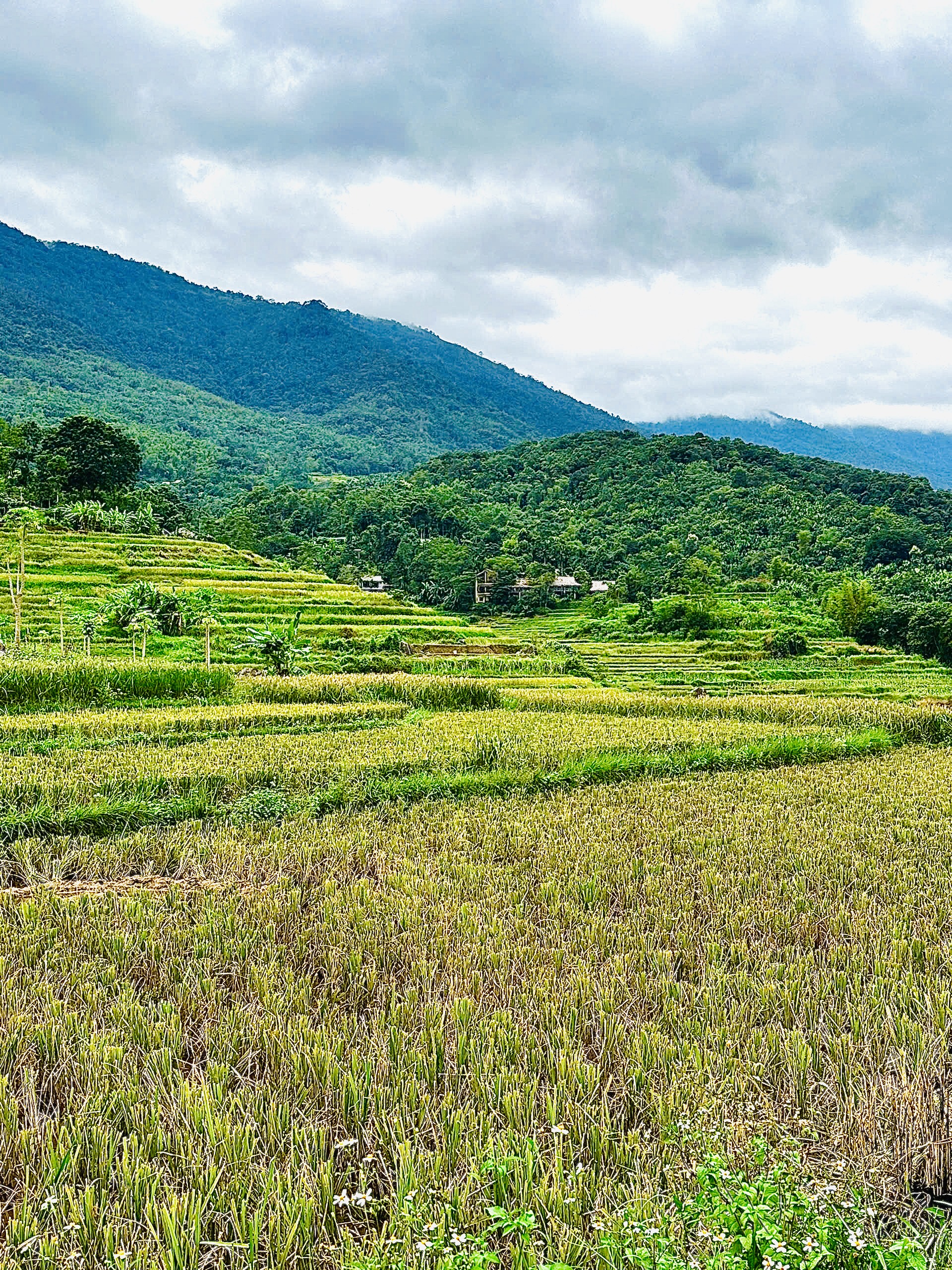  Chỉ cách Hà Nội khoảng 170 km, nhưng Pù Luông (huyện Bá Thước, Thanh Hóa) lại như một thế giới hoàn toàn khác, yên bình, trong lành và chan hòa sắc xanh của núi rừng. 