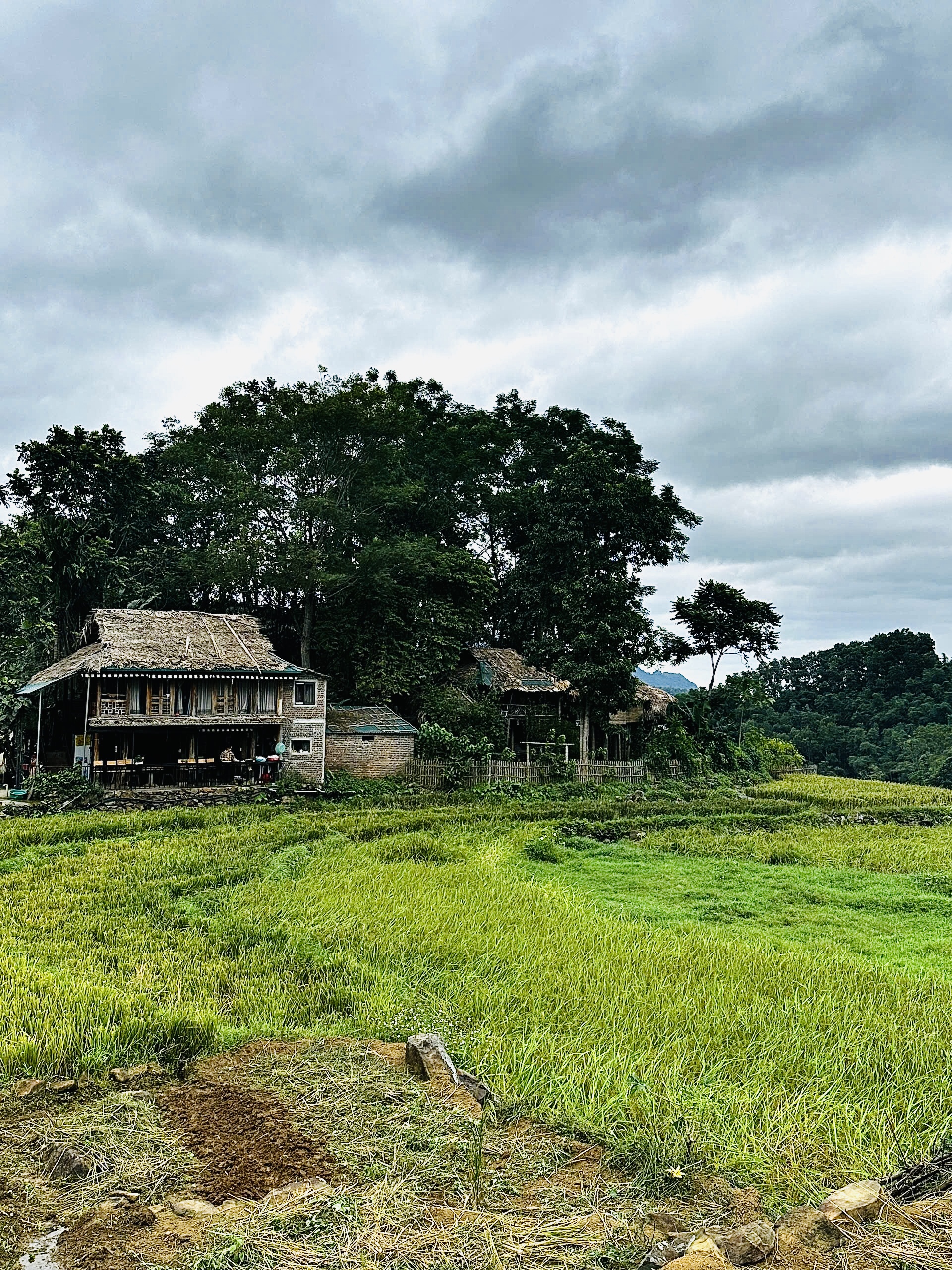 Đến Pù Luông nghỉ dưỡng cũng là một trải nghiệm đặc biệt. Những homestay nhỏ xinh dựa lưng vào rừng, phóng tầm nhìn ra thung lũng ruộng bậc thang, nơi du khách được thức dậy giữa sương mờ nhẹ phủ và đêm về quây quần bên lửa trại. 