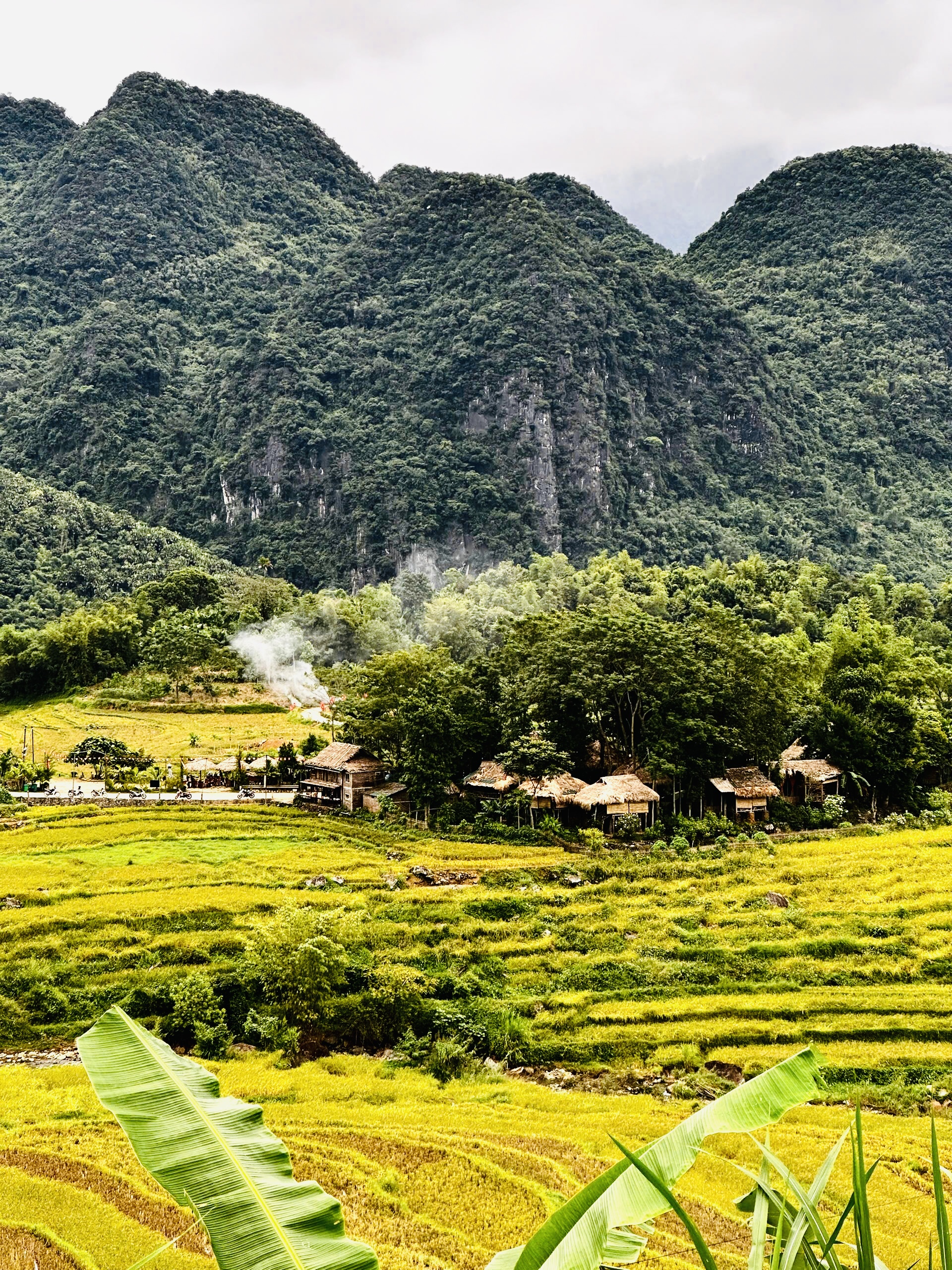 Không cần đi xa hàng trăm cây số đến Tây Bắc, du khách chỉ mất 4-5 giờ di chuyển bằng ôtô, xe khách theo hướng Hòa Bình - Mai Châu để đặt chân tới khu bảo tồn thiên nhiên rộng lớn này, nơi thiên nhiên còn giữ nguyên vẻ hoang sơ và nguyên bản.