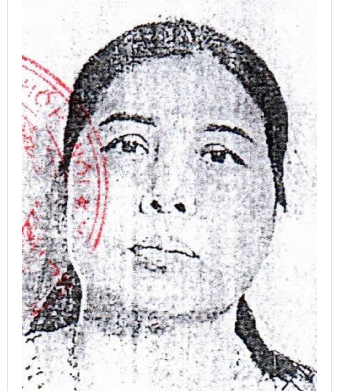 Đối tượng Kim Thị Thảo - Ảnh: CAHN