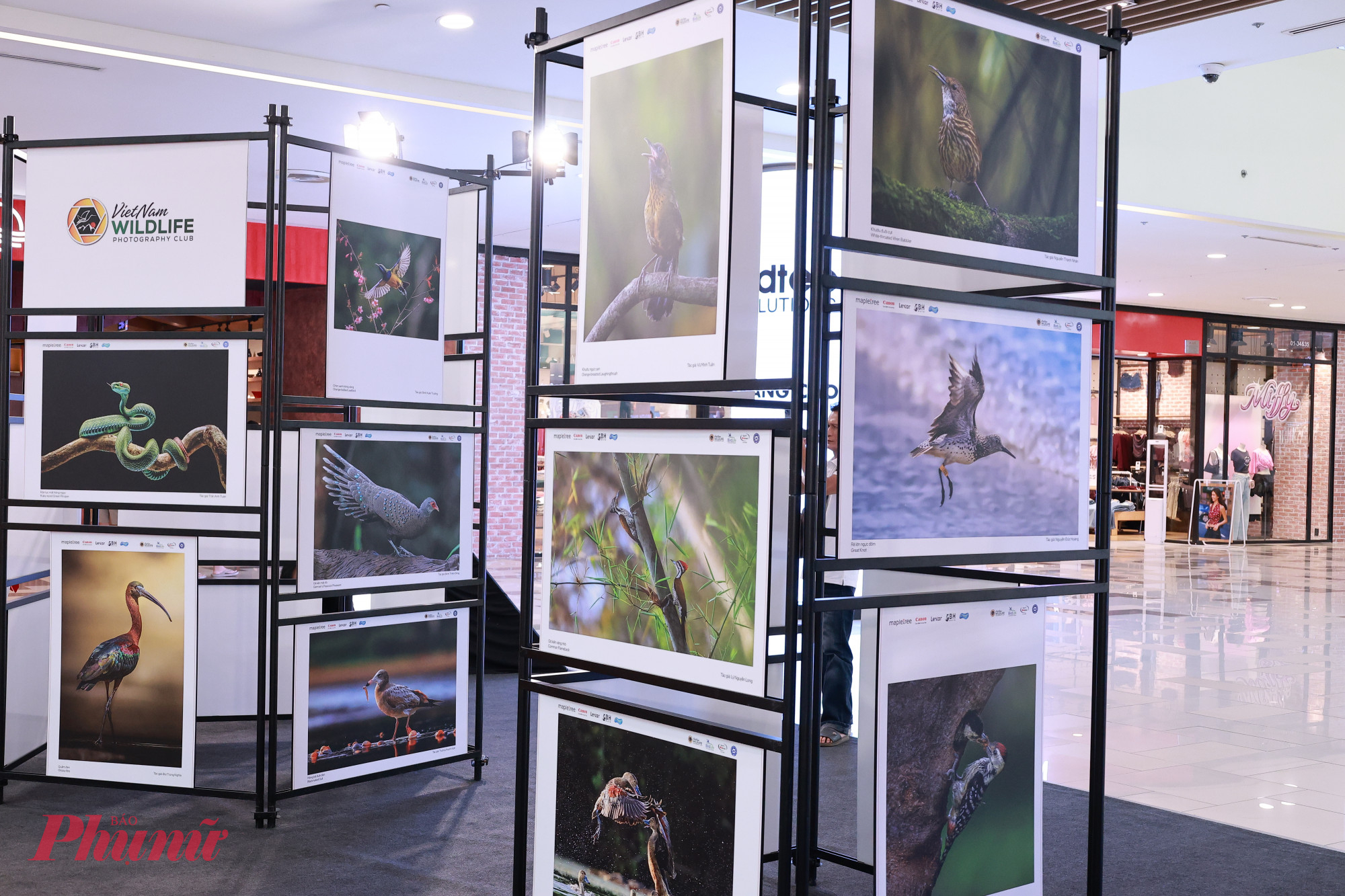 Một góc không gian tại triển lãm 