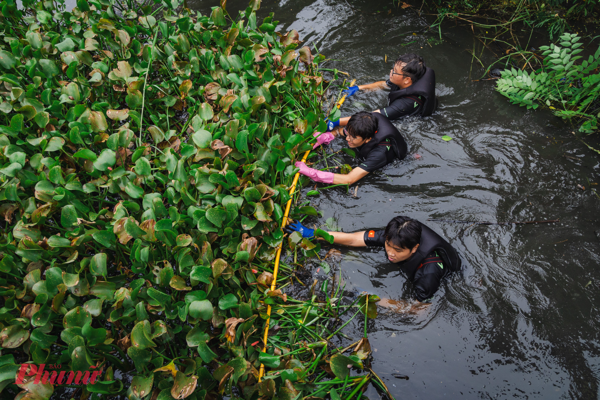 Do dòng kênh quá dài cùng với lượng lục bình dày đặc, một số thành viên trong nhóm còn nghĩ ra cách dùng những khúc cây khô nối với dây để thu gom rác, lục bình cho dễ.