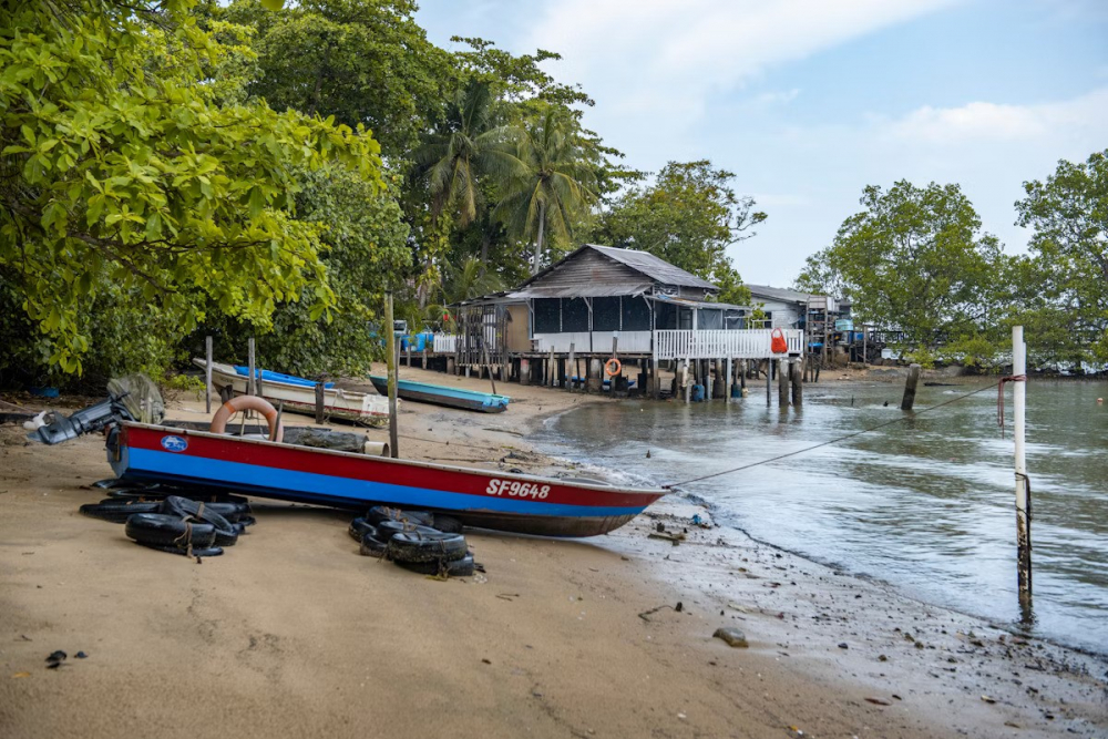  Một bãi biển trên đảo Pulau Ubin