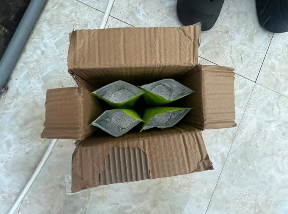 Tang vật của vụ án - TH