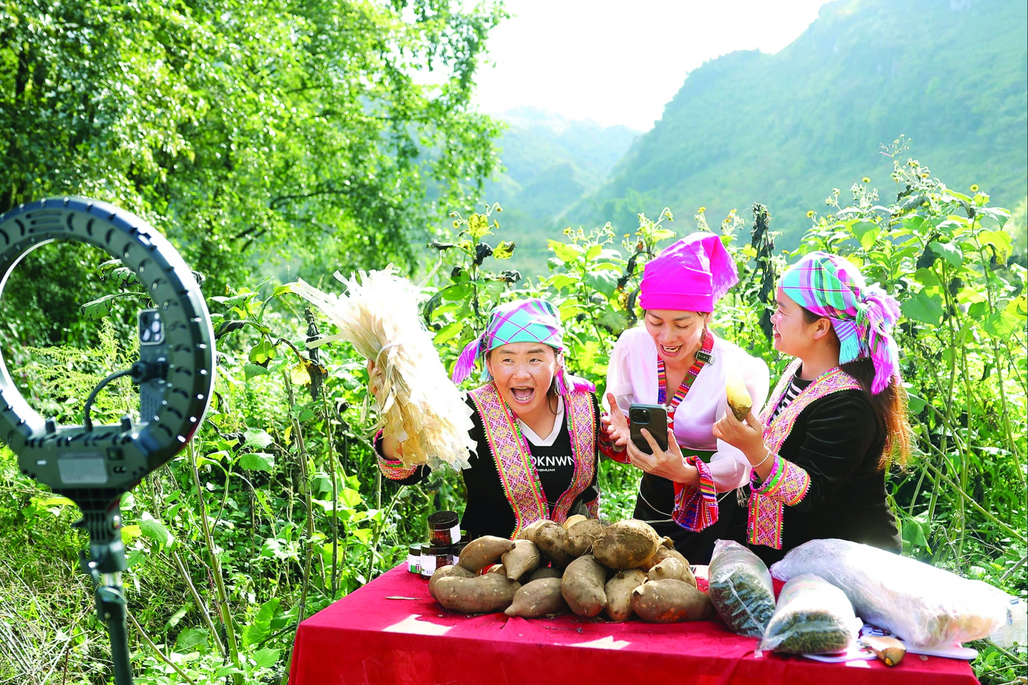 Từ phải qua: Vừ Thị Xia, Cô Ba Hồng, Vừ Thị Chứ live stream bán khoai sâm và nông sản của Sìn Hồ ẢNH: T.T.