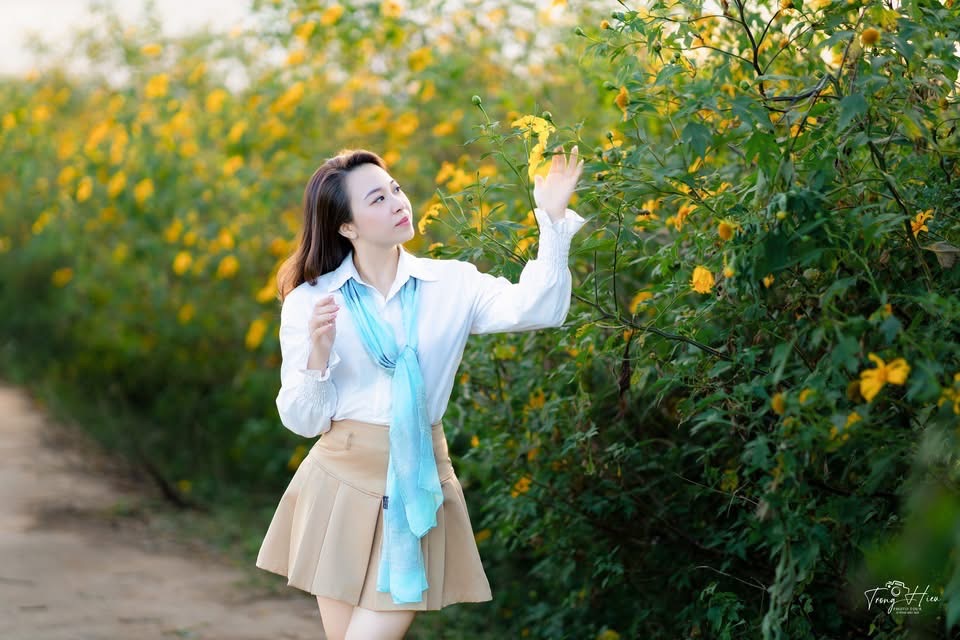 Người dân địa phương kể rằng, hoa dã quỳ thường nở rộ nhất trong khoảng hai đến ba tuần, rồi dần khép lại để nhường chỗ cho mùa khô Tây Nguyên. Bởi vậy, khoảng thời gian này được xem là “mùa vàng ngắn ngủi” mà du khách không nên bỏ lỡ.