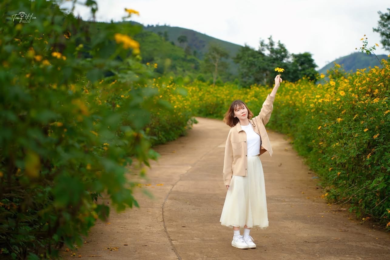 Dọc các con đường dẫn lên núi, khắp triền đồi, sườn dốc, hoa dã quỳ nở vàng rực cả không gian. Dưới ánh nắng cao nguyên, sắc vàng ấy càng trở nên rực rỡ, làm say lòng bất cứ ai đặt chân đến
