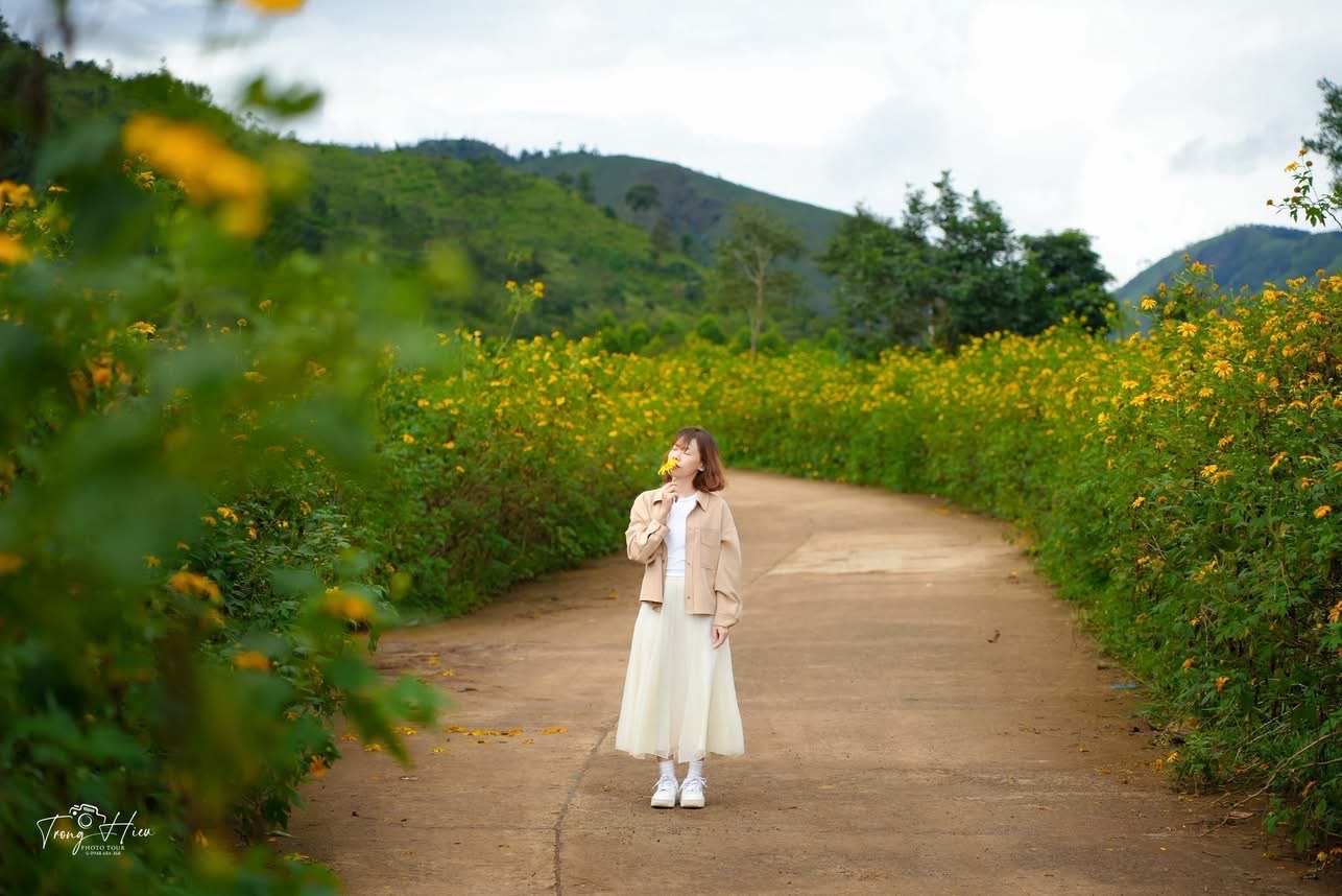 Núi lửa Chư Đang Ya cách trung tâm TP. Pleiku khoảng 30 km về phía Bắc. Từ Pleiku, du khách có thể đi xe máy hoặc ô tô theo quốc lộ 14 hướng Ia Ly, rẽ vào ngã ba Hà Tây, tiếp tục 10 km là đến chân núi. Từ chân núi, leo bộ chừng 20–30 phút sẽ đến đỉnh, nơi du khách có thể ngắm trọn thung lũng hoa dã quỳ và cảnh sắc Tây Nguyên hùng vĩ. 