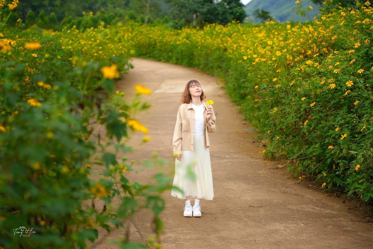 Năm nay, lễ hội sẽ diễn ra từ 14 đến 16/11, với nhiều hoạt động sôi nổi như: diễu hành cồng chiêng, biểu diễn nghệ thuật dân tộc, thi ảnh nghệ thuật, hội chợ đặc sản và tour trải nghiệm leo núi ngắm hoa.