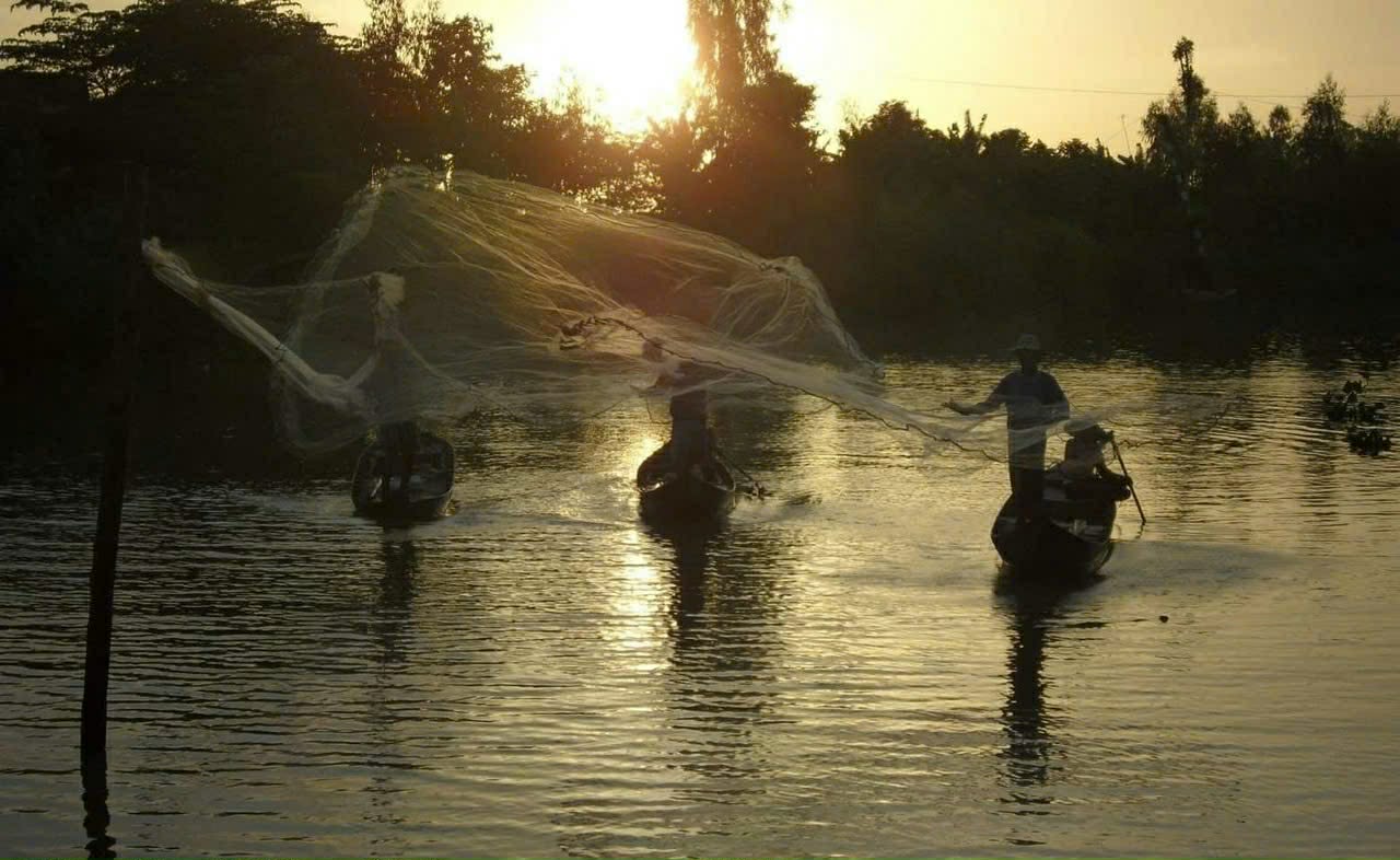 Mưu sinh mùa cá ra sông Nông dân xã Tràm Chim quăng chài bắt thủy sản mùa cá ra
