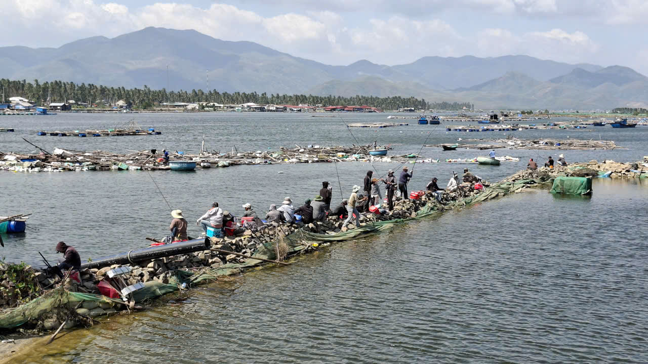 Sau bão, người dân Đắk Lắk ra đầm Cù Mông câu cá nuôi bị bão cuốn trôi Nhiều người ra bờ đá dưới chân cầu Bồng Bềnh câu cá.