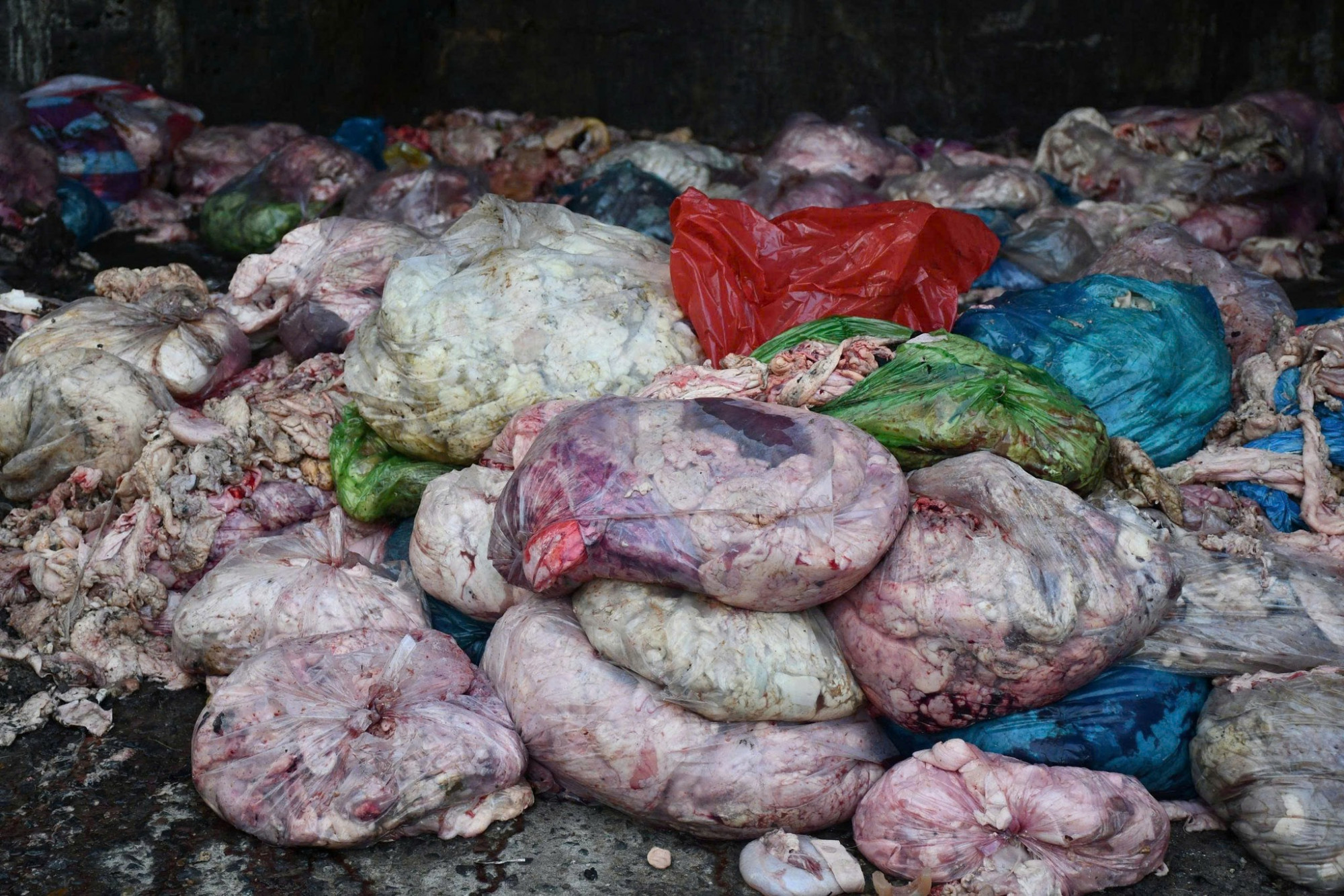 Cơ sở chế biến mỡ động vật trái phép thời điểm cơ quan chức năng ập vào kiểm tra_Ảnh: Công an xã Hoà Tiến.