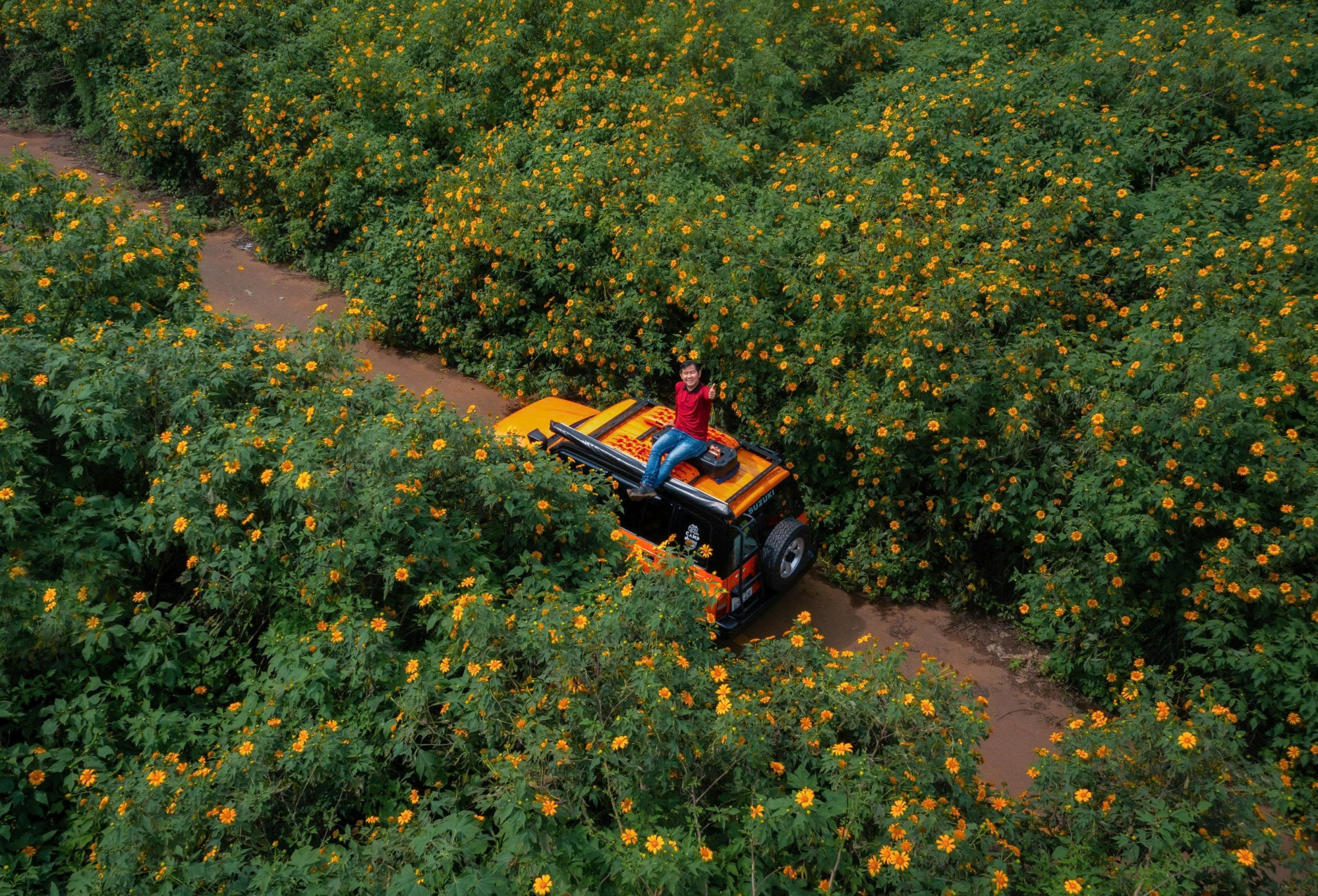 Dã quỳ ở Tà Nung