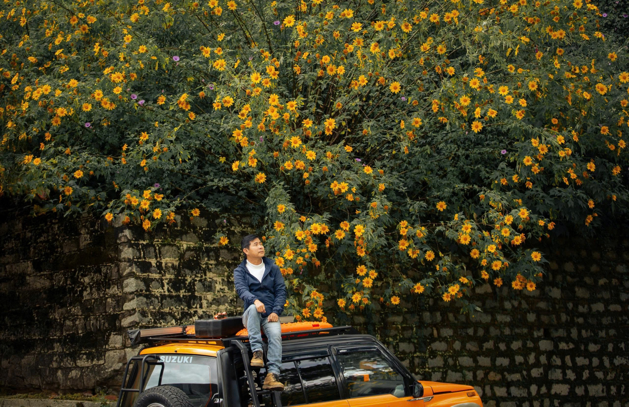 Cầu Đất - Trại Mát là địa điểm check-in dã quỳ quen thuộc với du khách