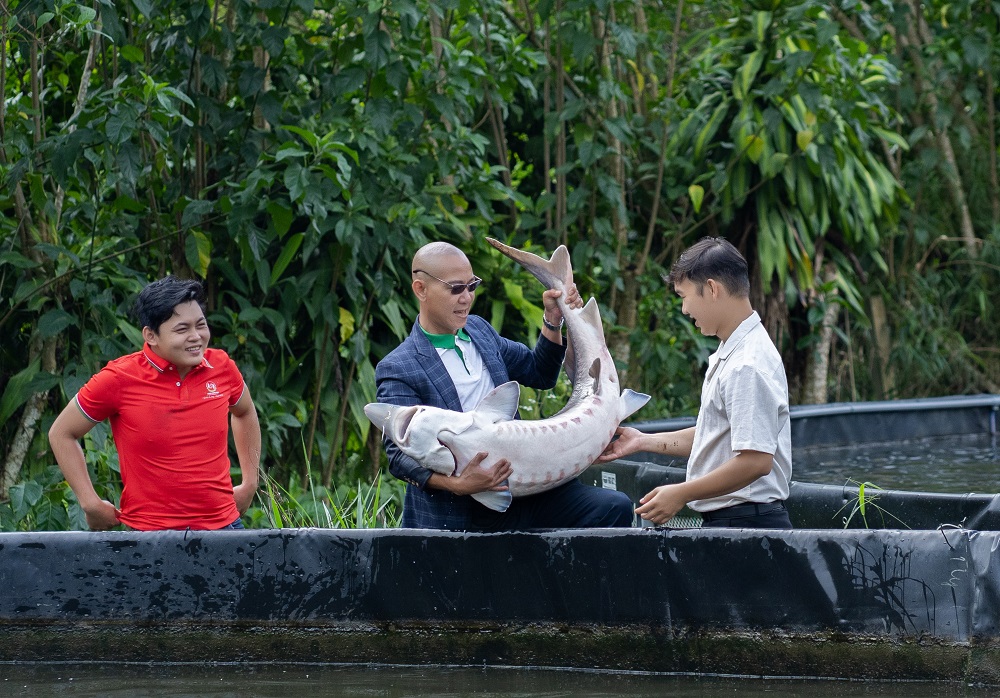 Cá tầm Nga nặng 50kg được nuôi trong hồ thủy điện tại Lâm Đồng - Ảnh: Thành Đạt