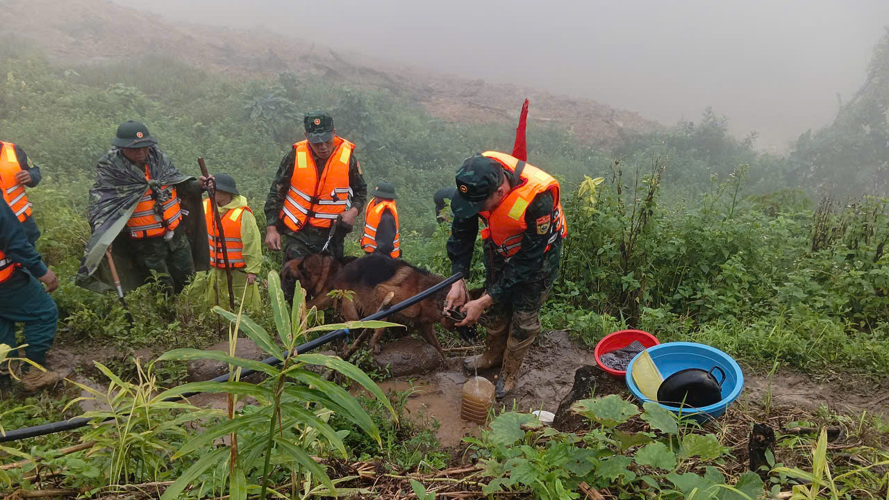 Với khứu giác nhạy bén, những quân khuyển này đang được sử dụng để tìm kiếm các nạn nhân bị vùi lấp dưới lớp đất đá, bùn nhão, nơi các phương tiện cơ giới khó tiếp cận.