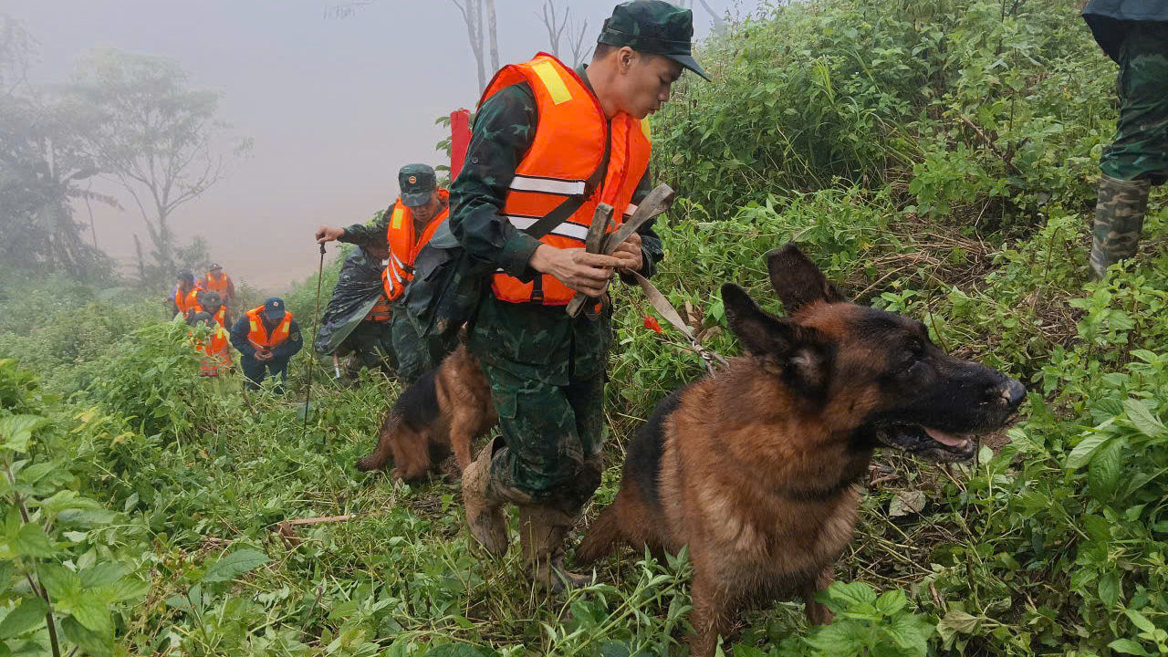 Đáng chú ý, các chó nghiệp vụ được huấn luyện đặc biệt cho công tác tìm kiếm cứu nạn cũng đã được tăng cường đến hiện trường.
