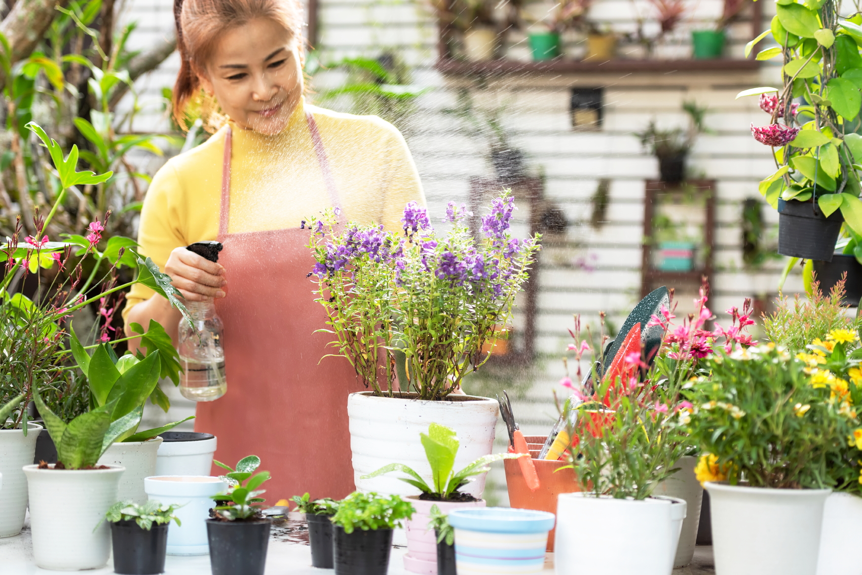 Ảnh mang tính minh họa - Shutterstock